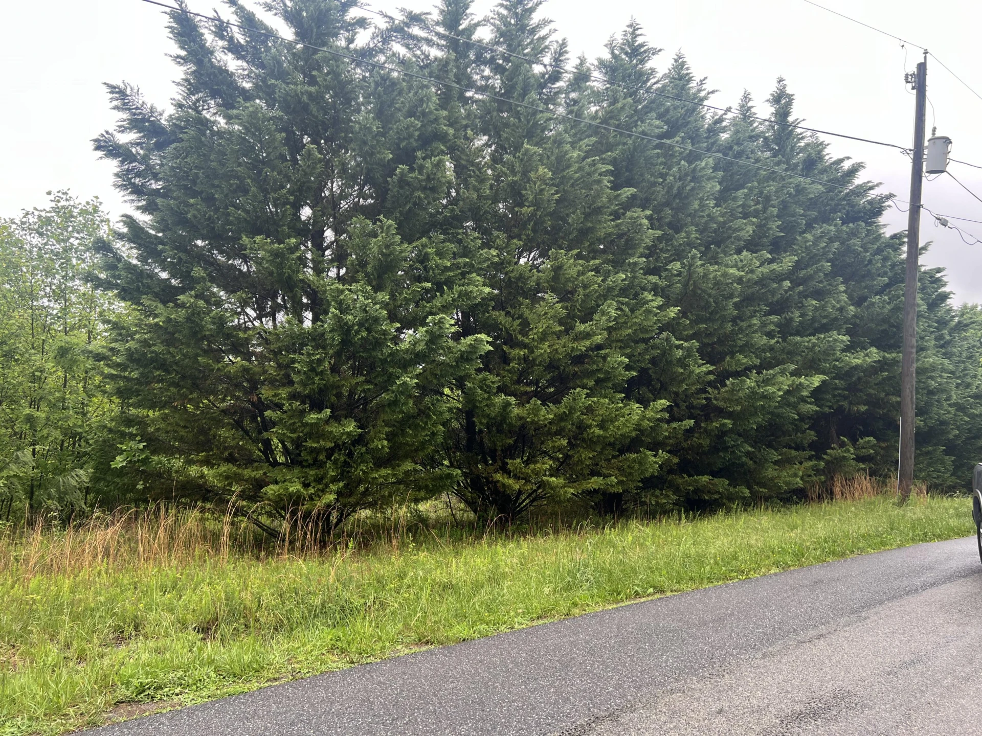 0 Nemmo RD - Photo 3