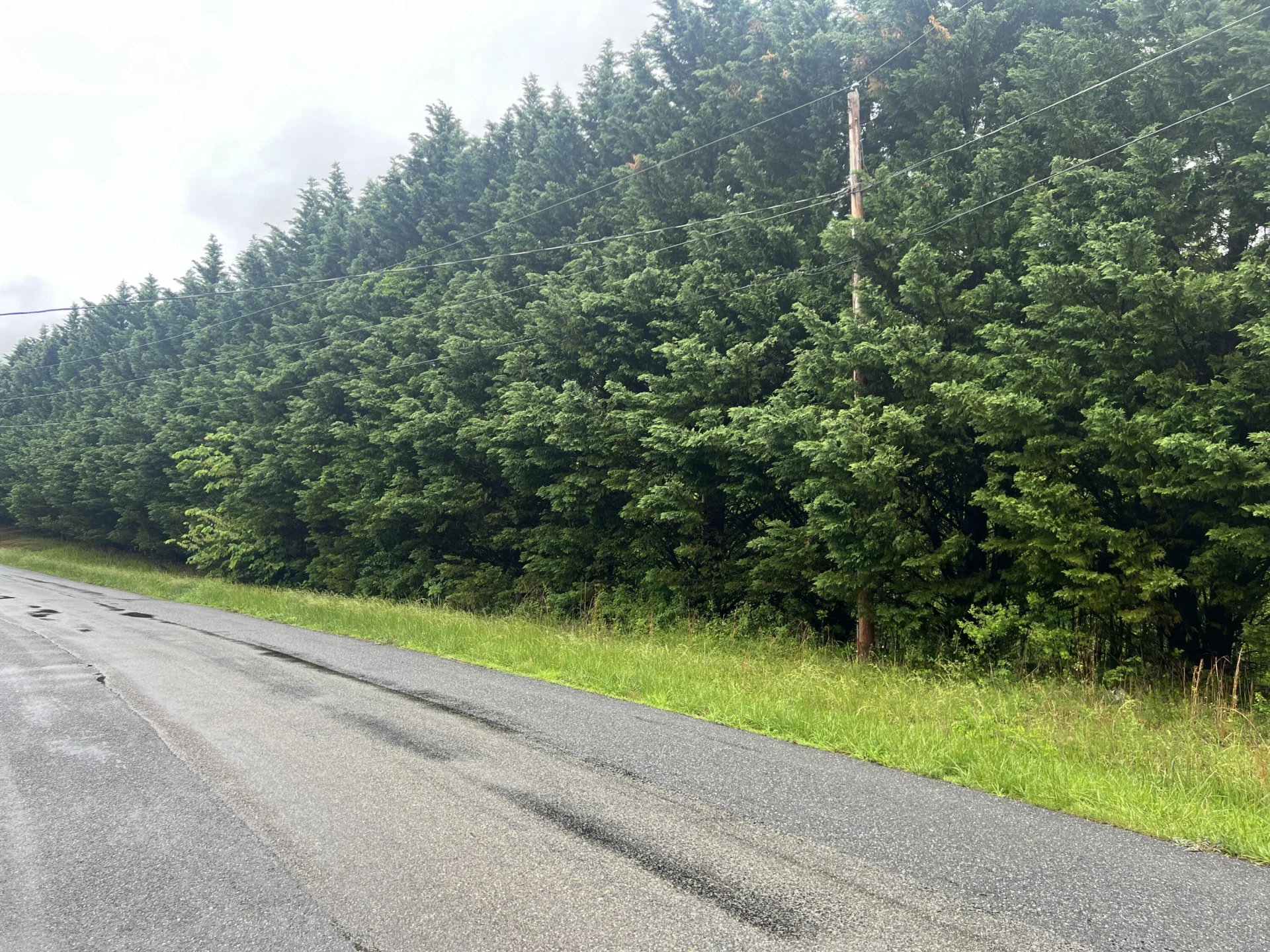 0 Nemmo RD - Photo 4