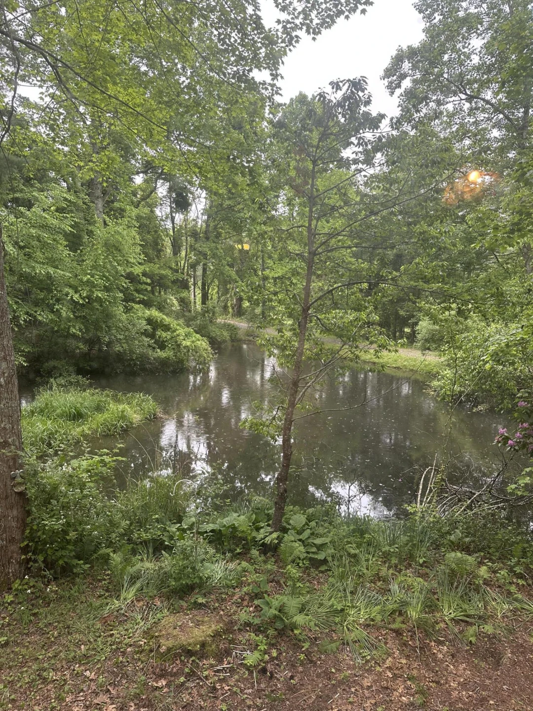 281 Poff DR NE - Photo 13