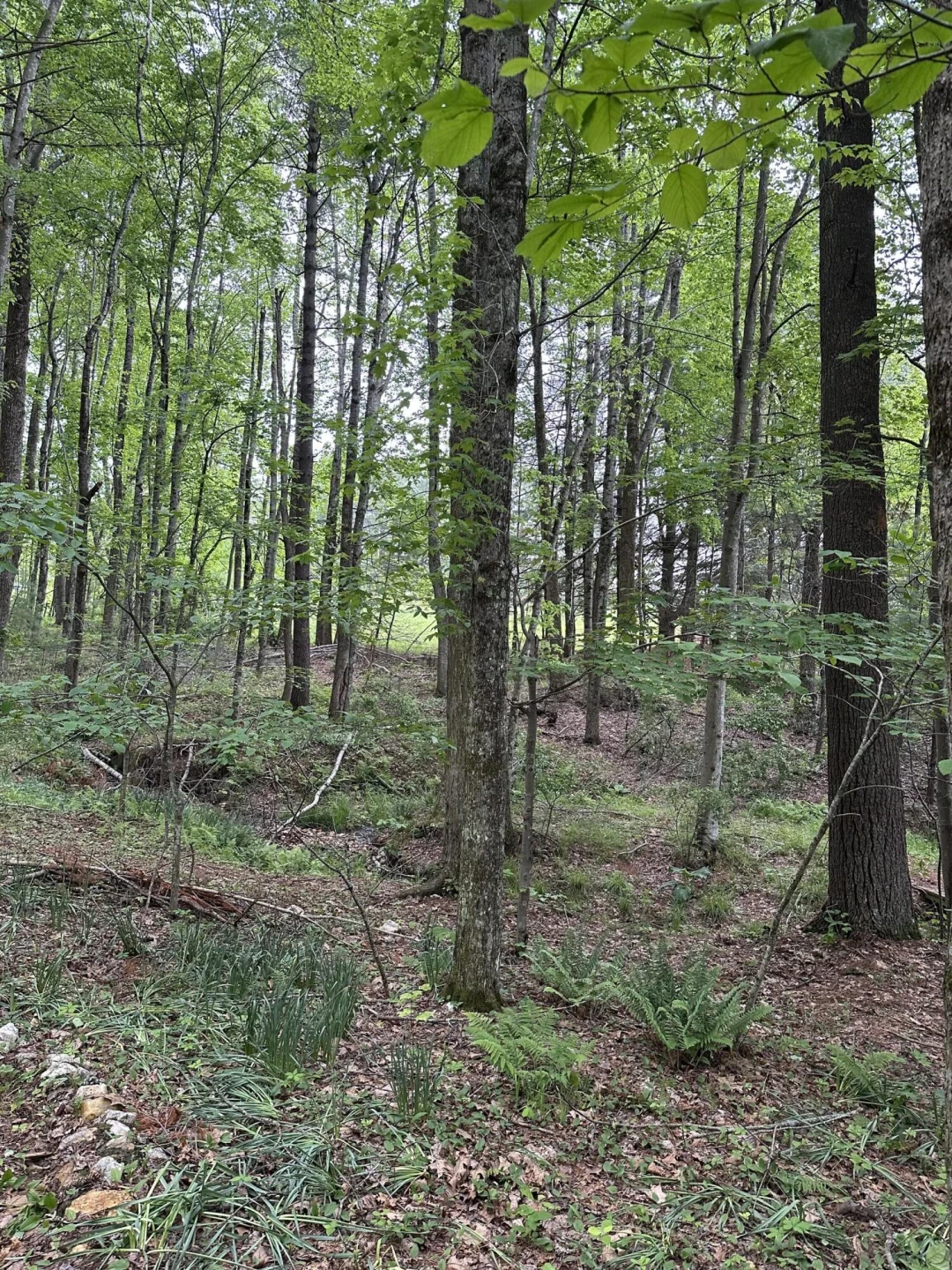 281 Poff DR NE - Photo 26