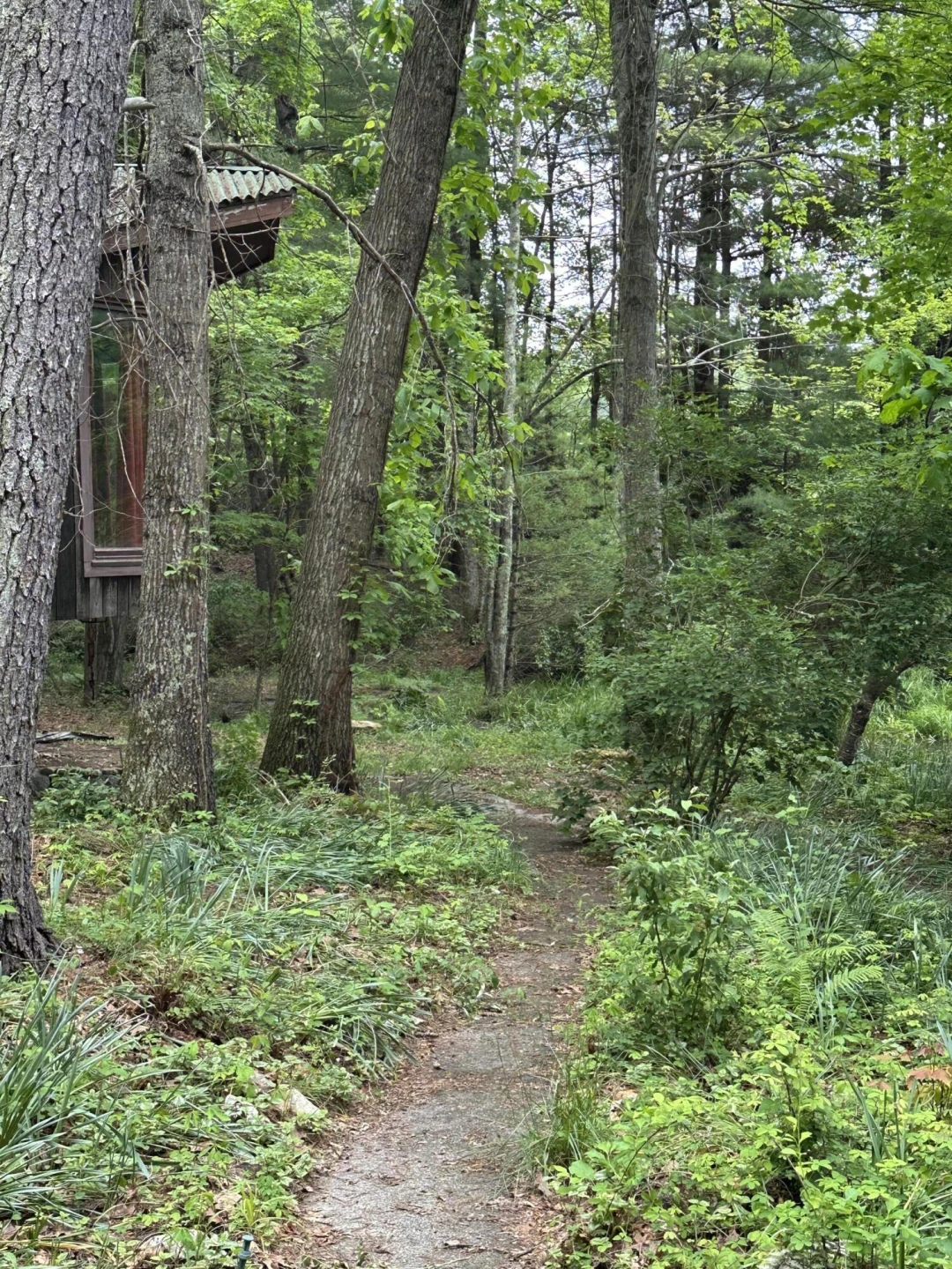 281 Poff DR NE - Photo 9
