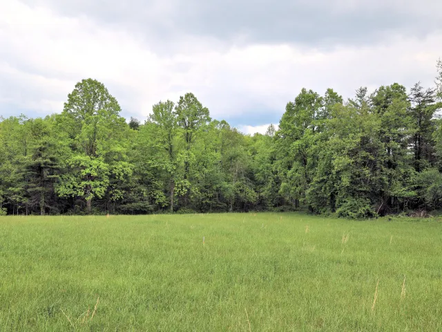 TBD Franklin Pike SE, Floyd, VA, 24091