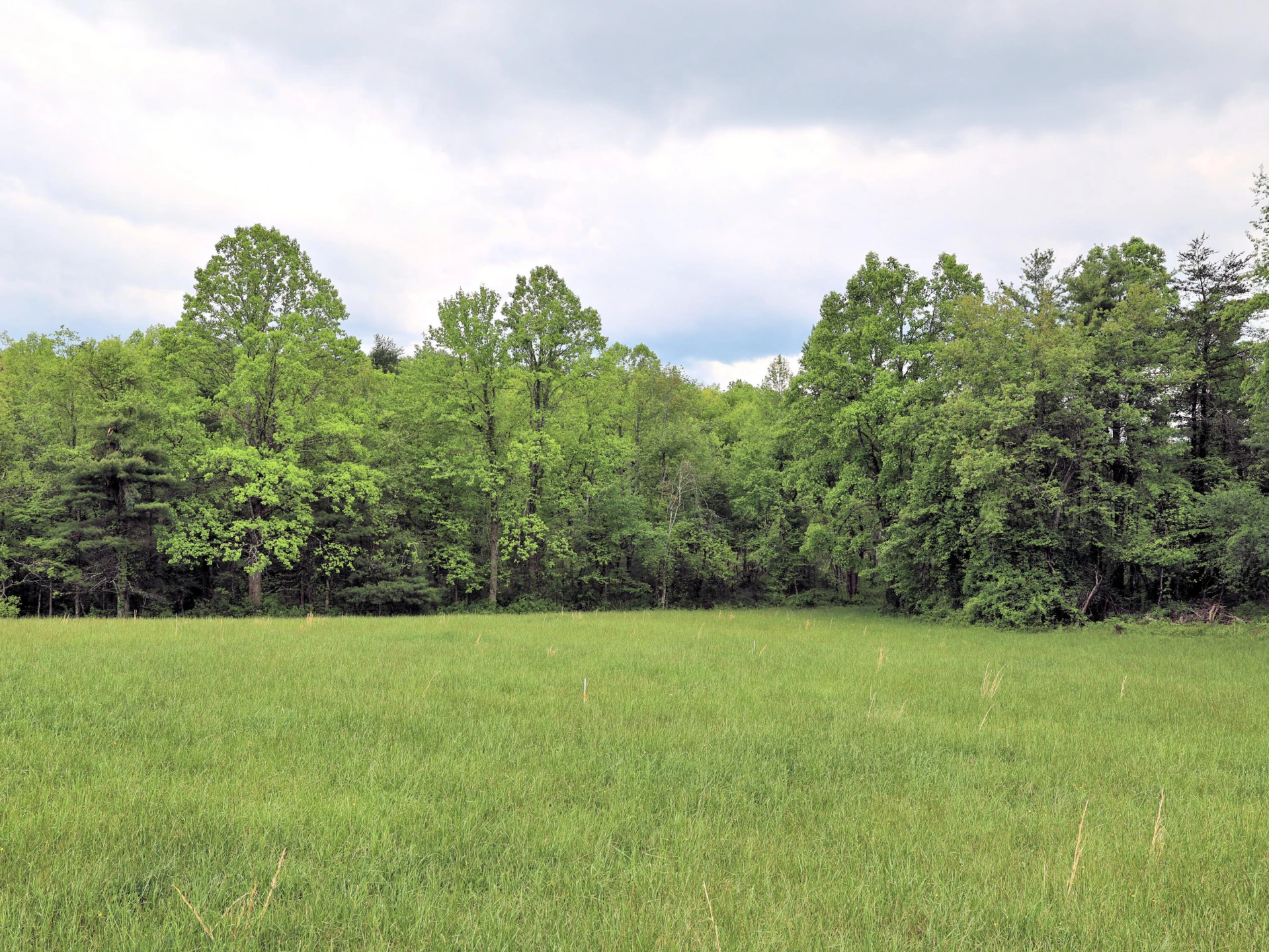TBD Franklin Pike SE