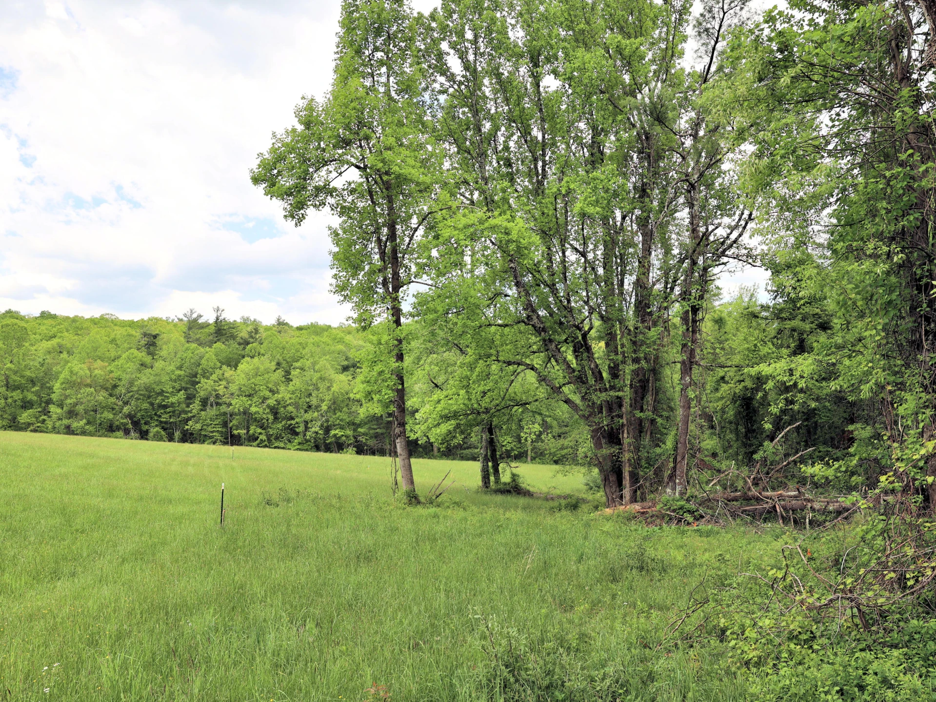 TBD Franklin Pike SE - Photo 10