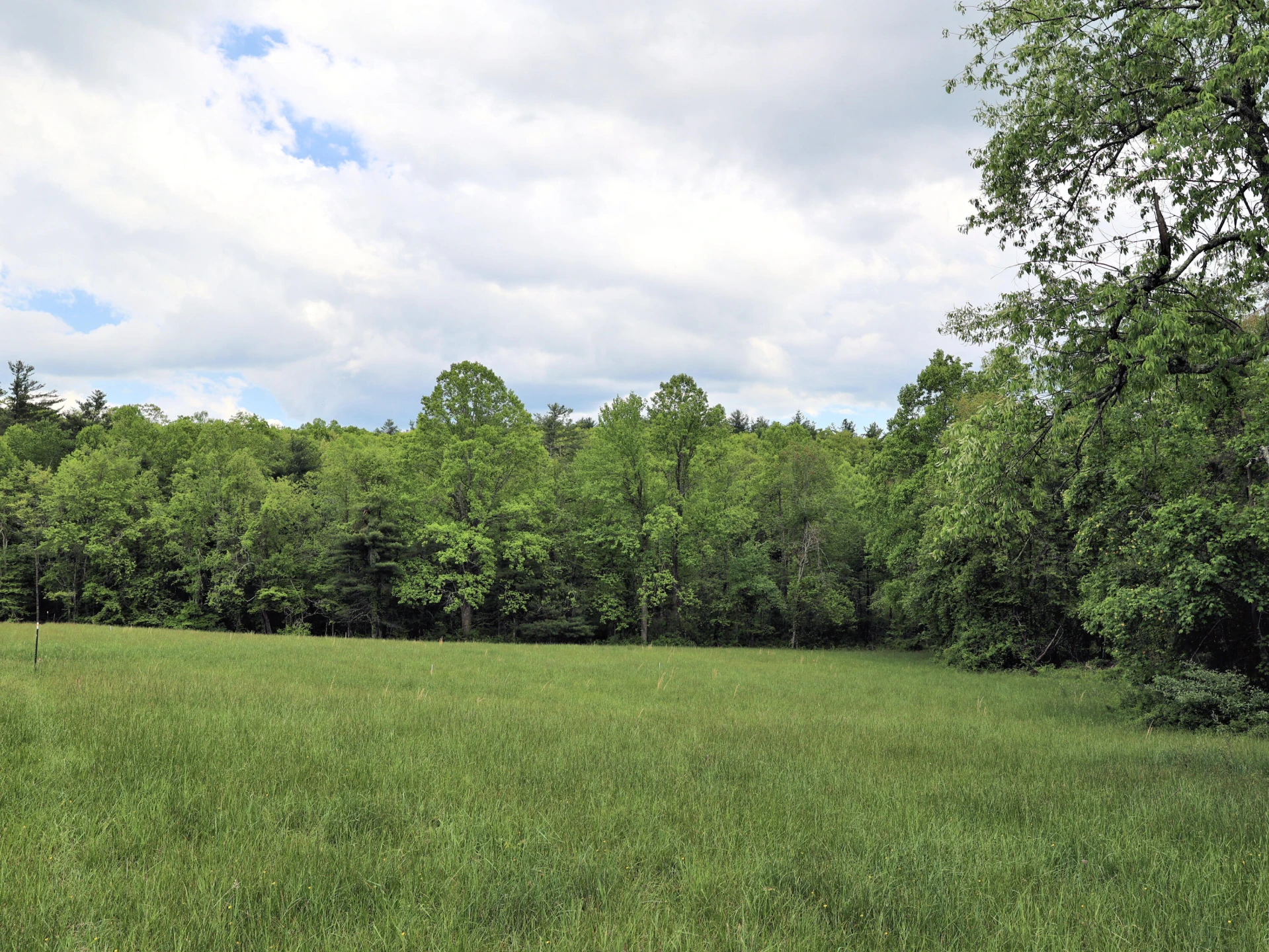 TBD Franklin Pike SE - Photo 11