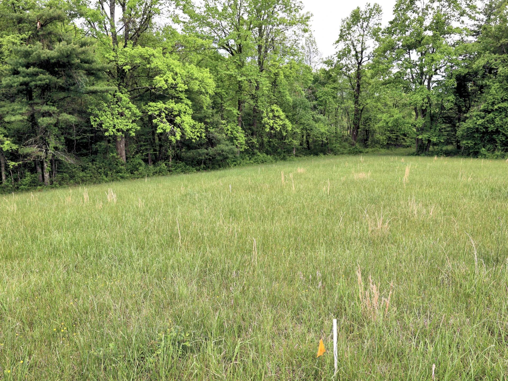 TBD Franklin Pike SE - Photo 12