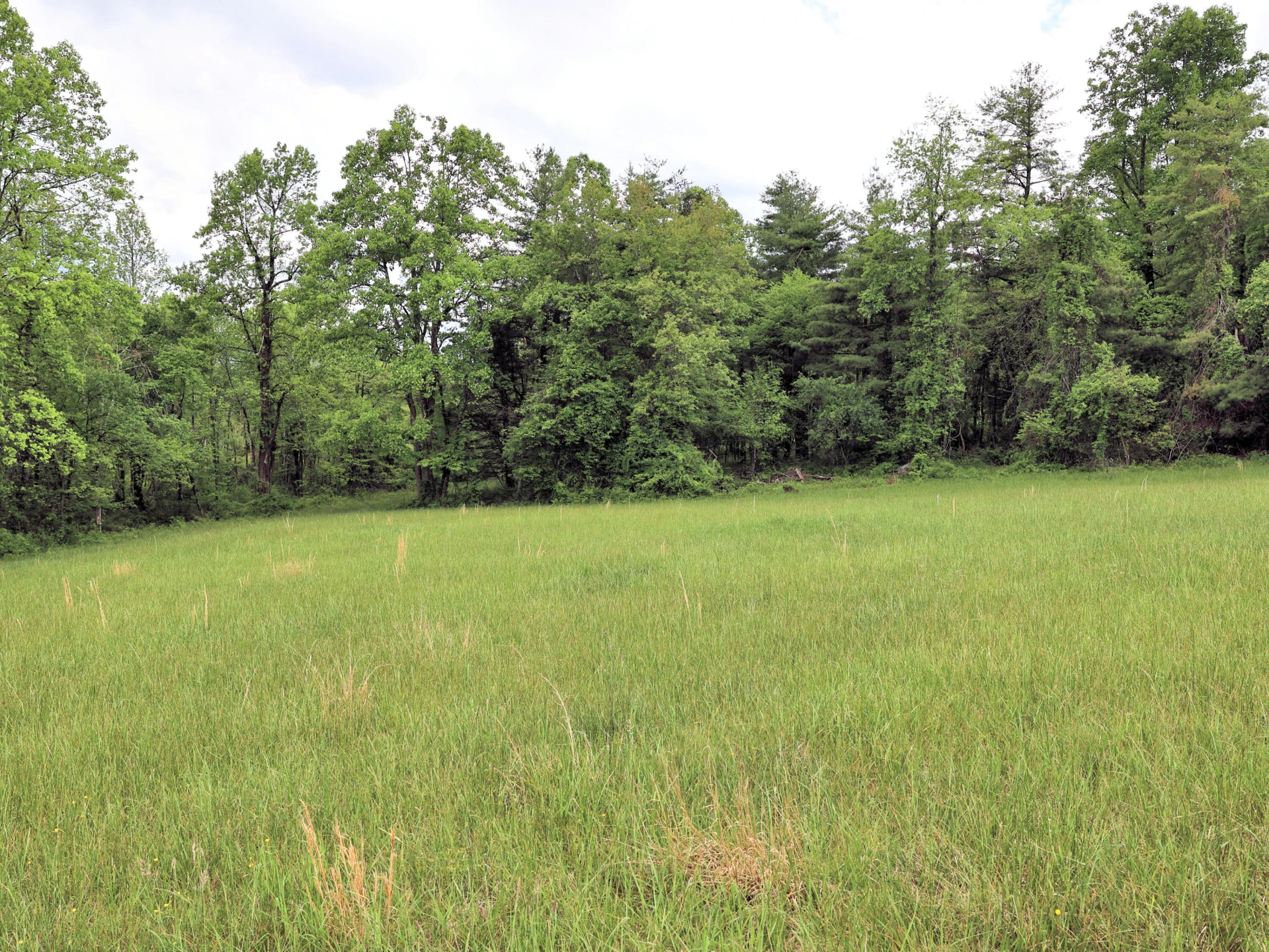TBD Franklin Pike SE - Photo 13