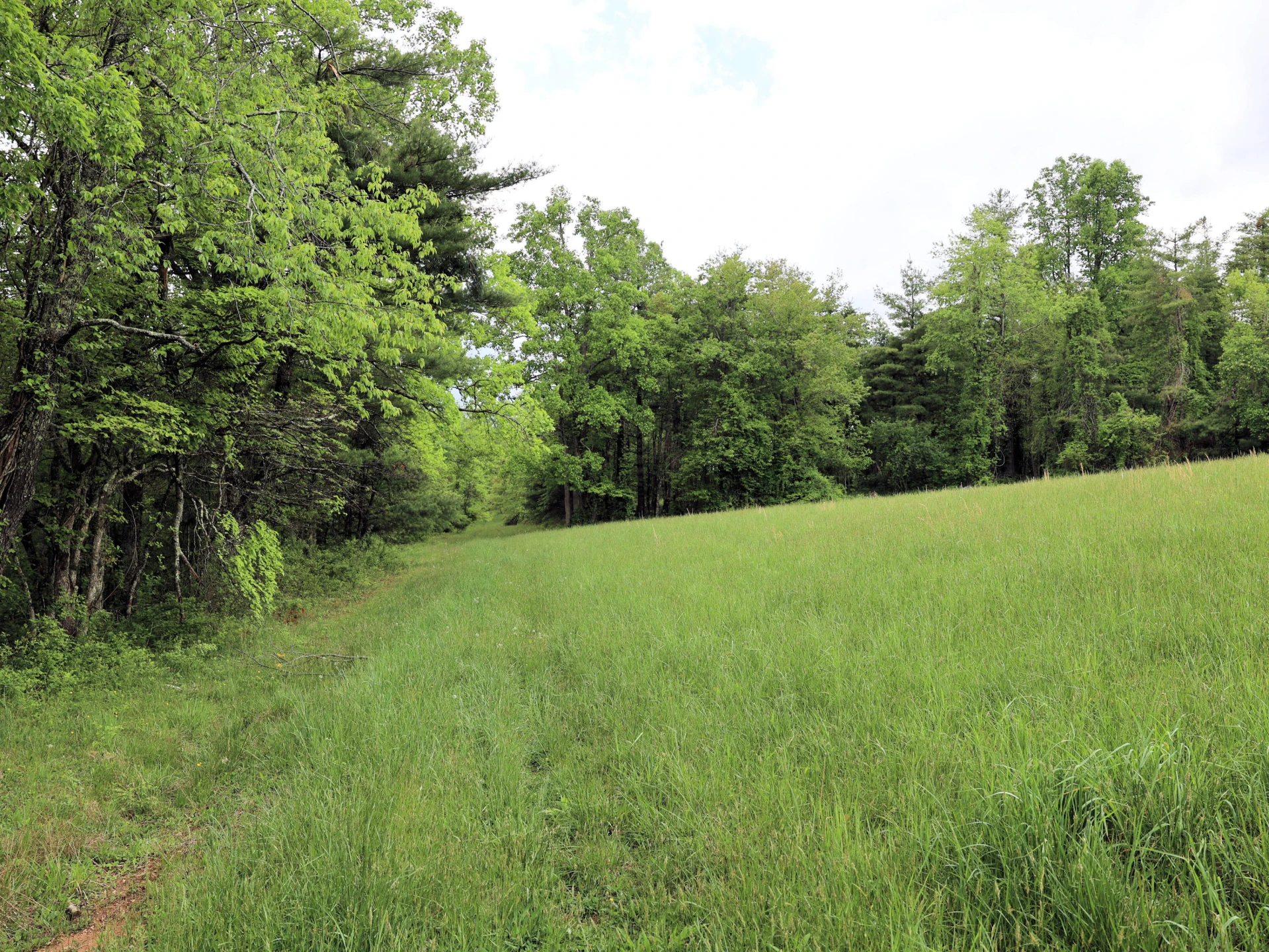 TBD Franklin Pike SE - Photo 15