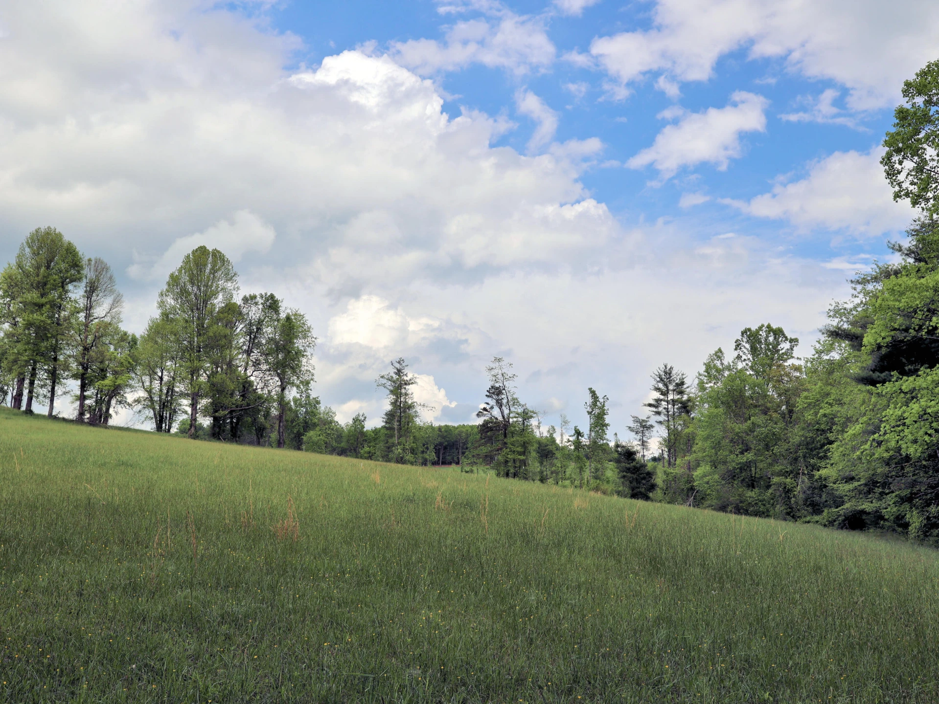TBD Franklin Pike SE - Photo 16