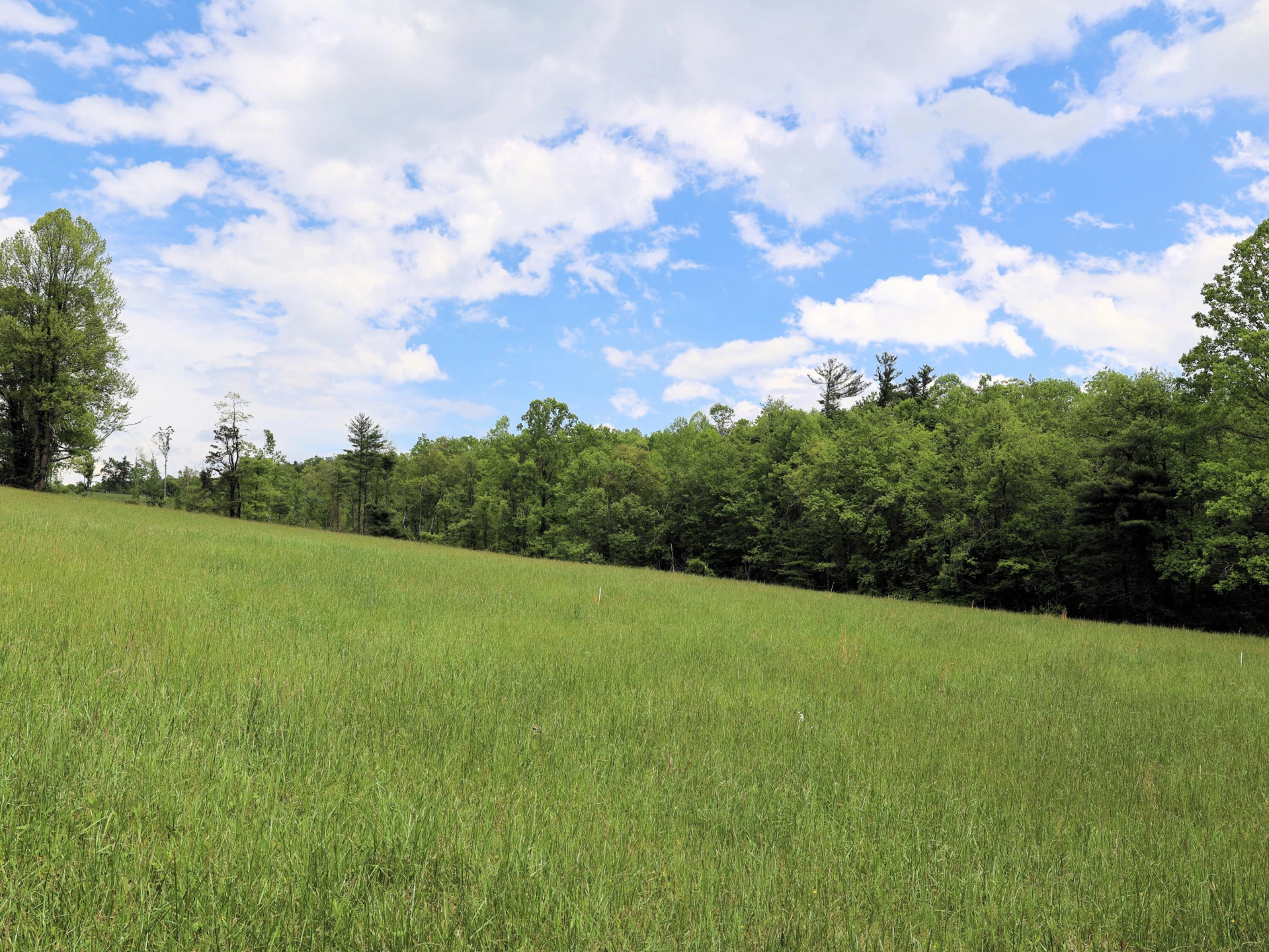 TBD Franklin Pike SE - Photo 18