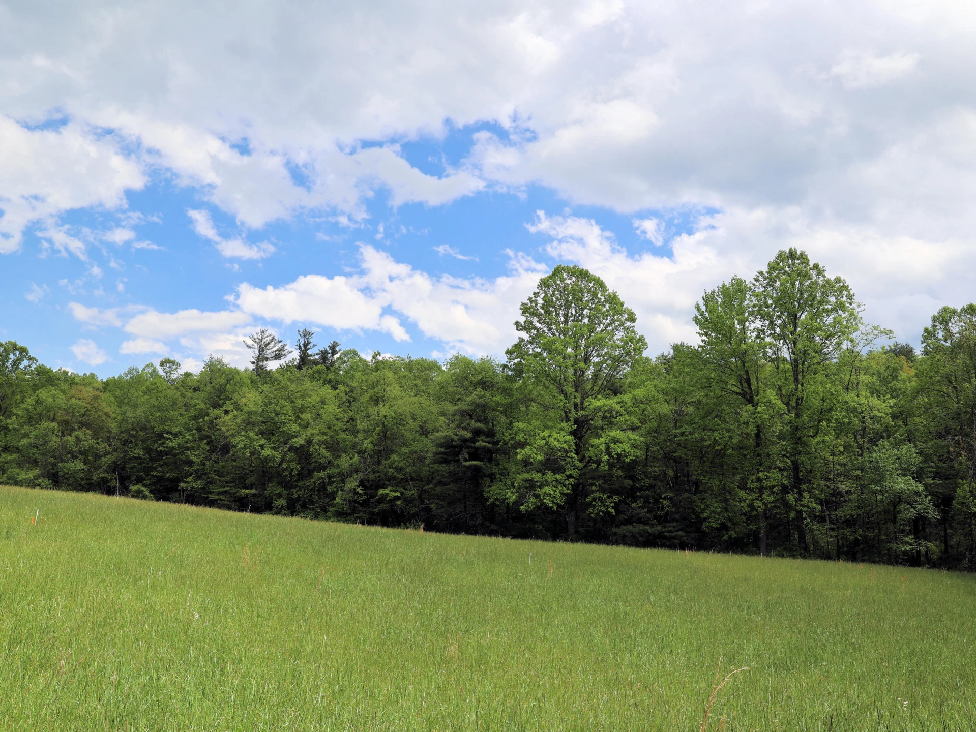 TBD Franklin Pike SE - Photo 19