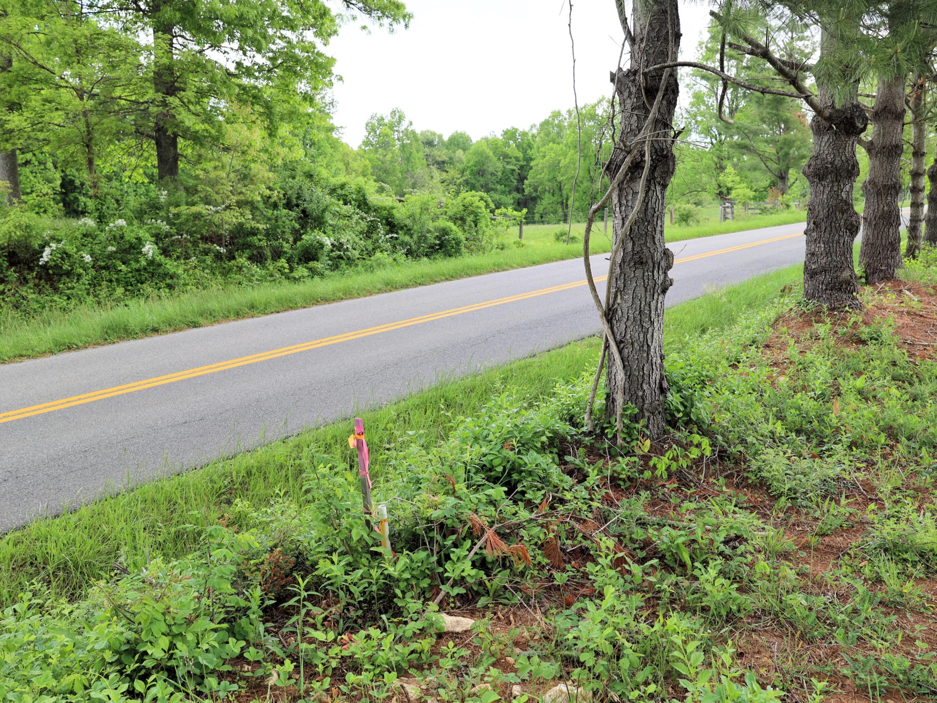 TBD Franklin Pike SE - Photo 2