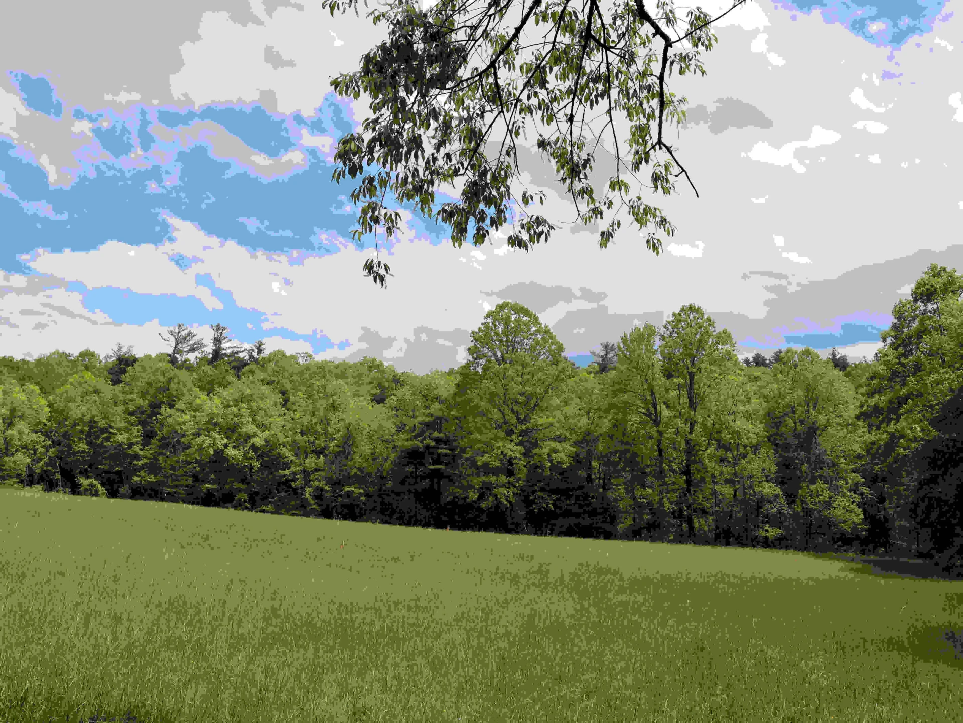 TBD Franklin Pike SE - Photo 20
