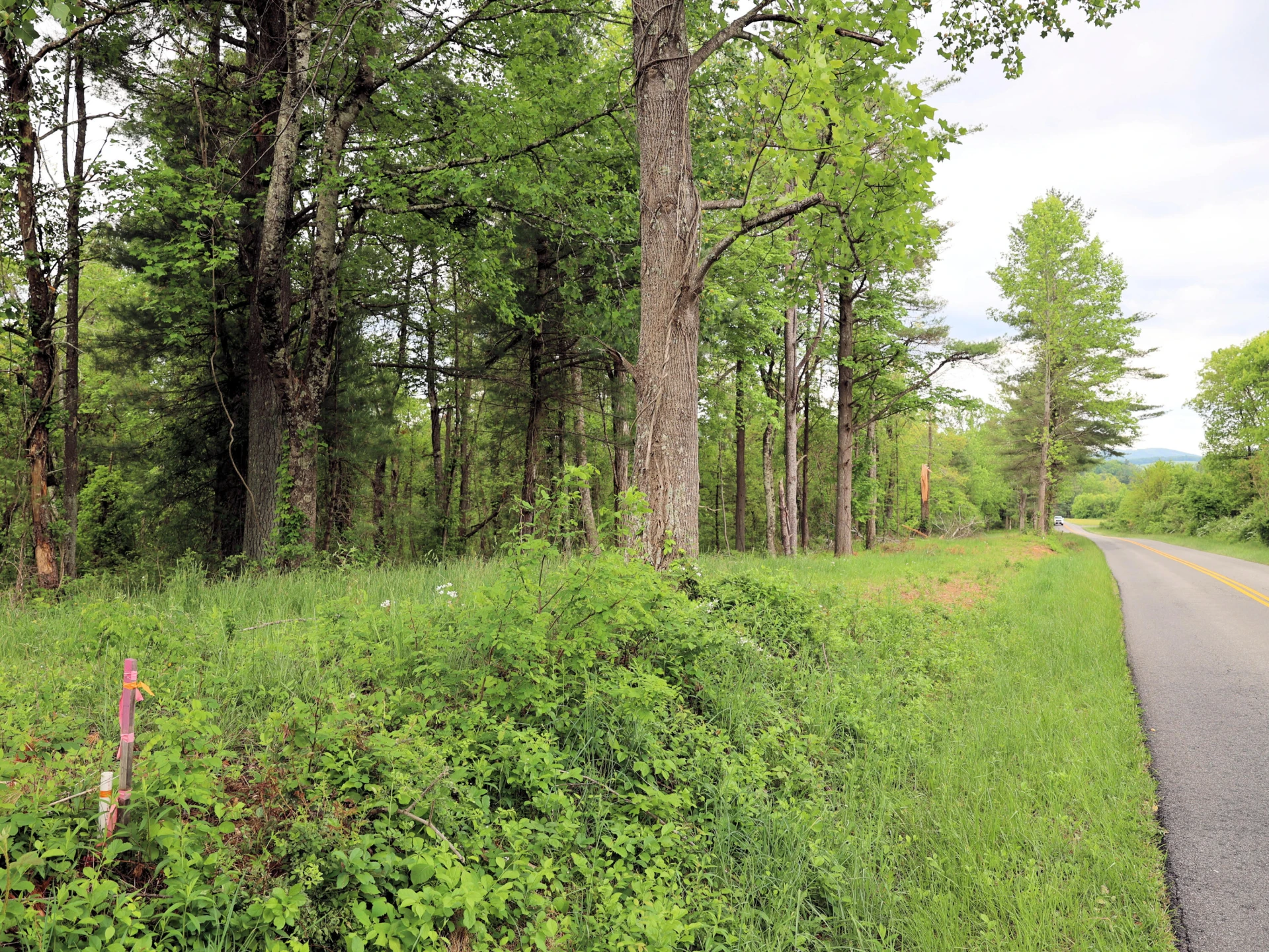 TBD Franklin Pike SE - Photo 3