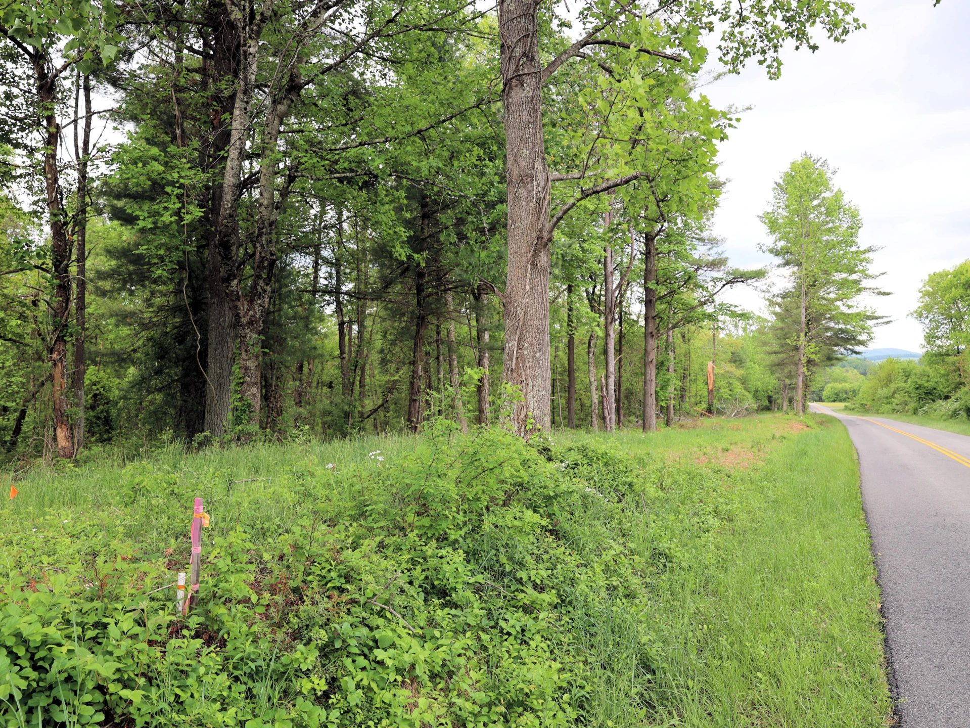TBD Franklin Pike SE - Photo 4