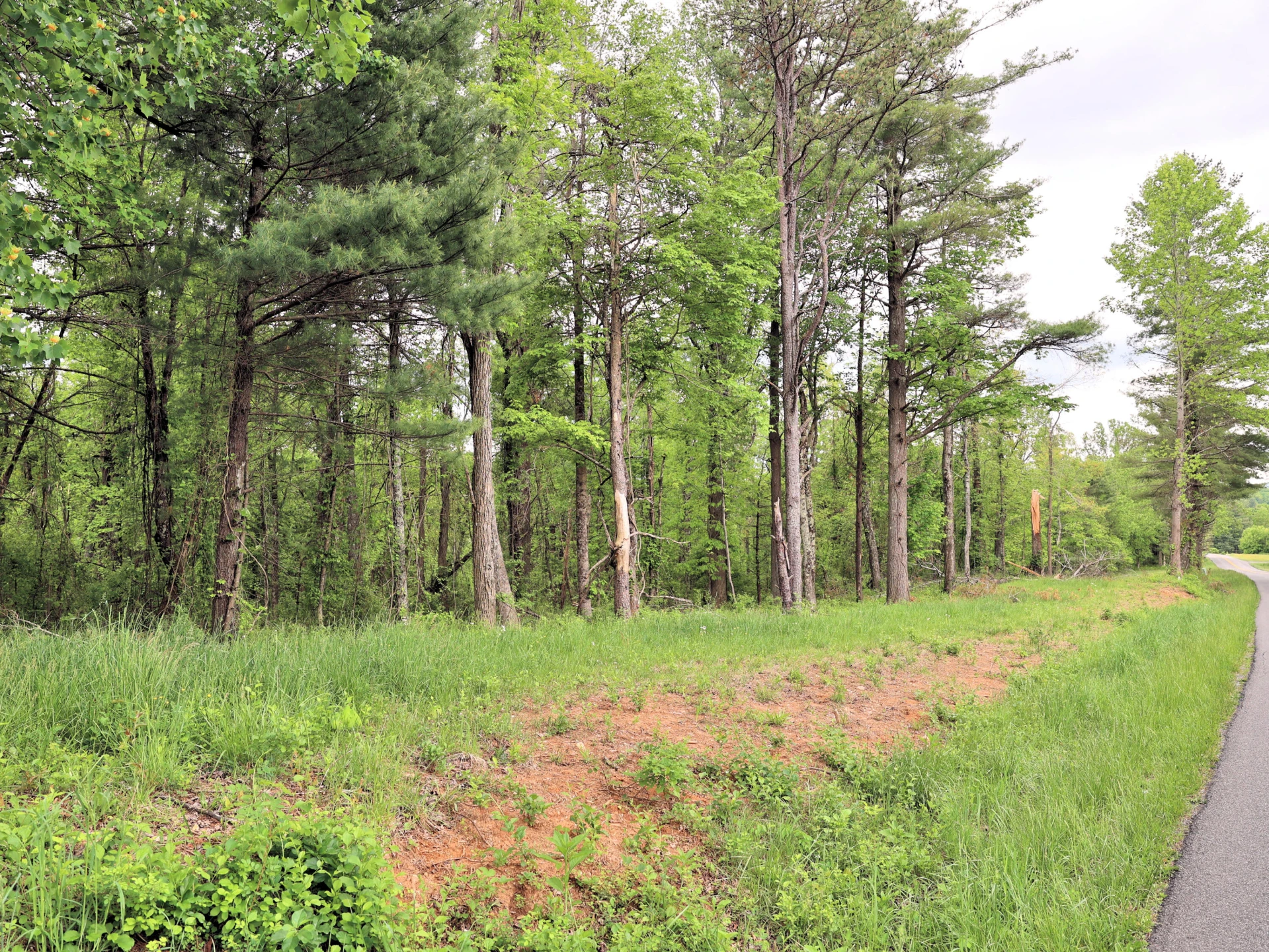 TBD Franklin Pike SE - Photo 5