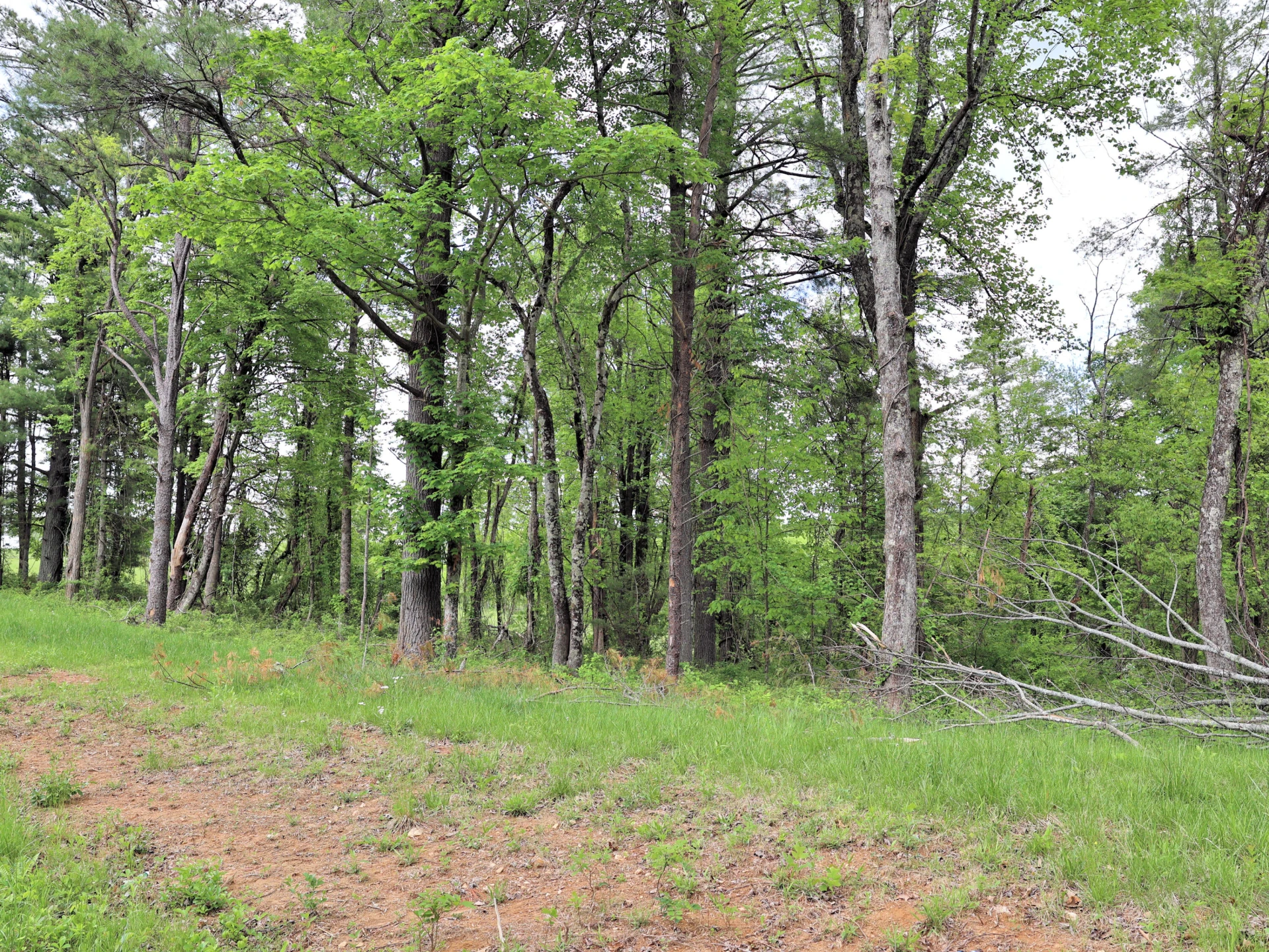 TBD Franklin Pike SE - Photo 7