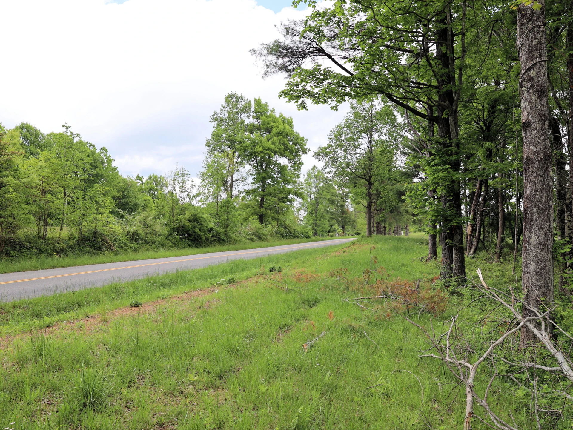 TBD Franklin Pike SE - Photo 8