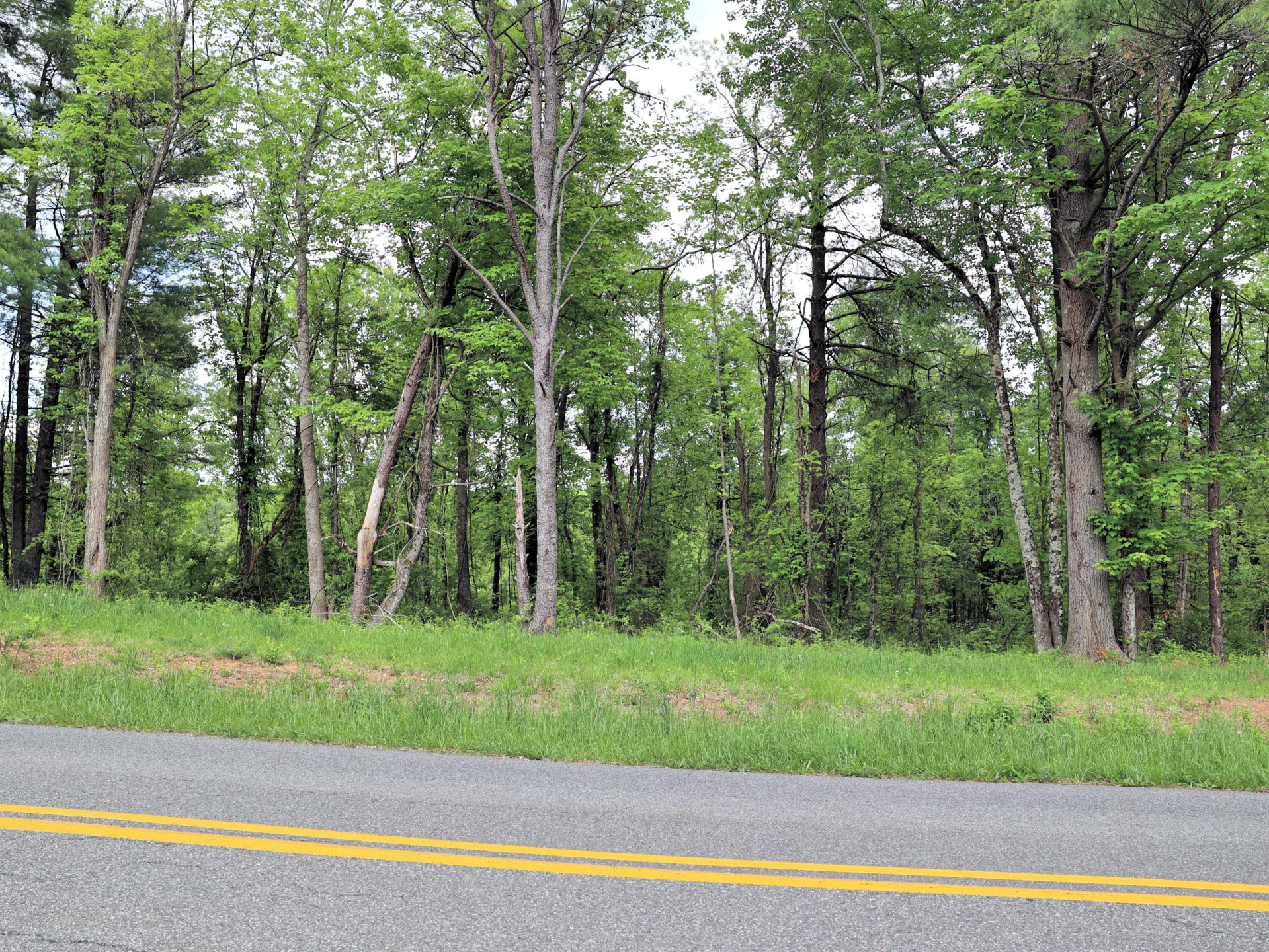 TBD Franklin Pike SE - Photo 9