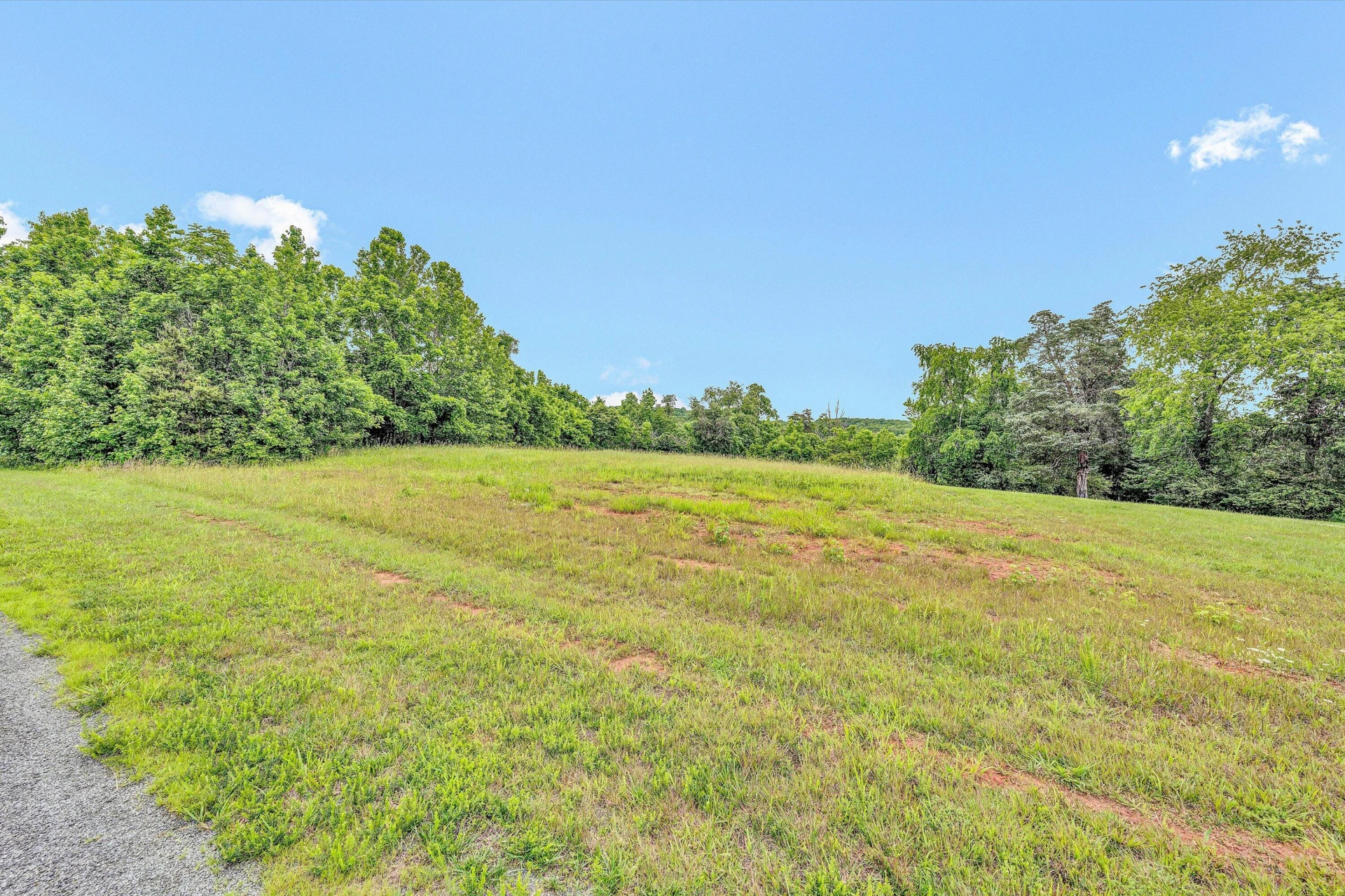 Lot 10 Augusta WAY - Photo 7