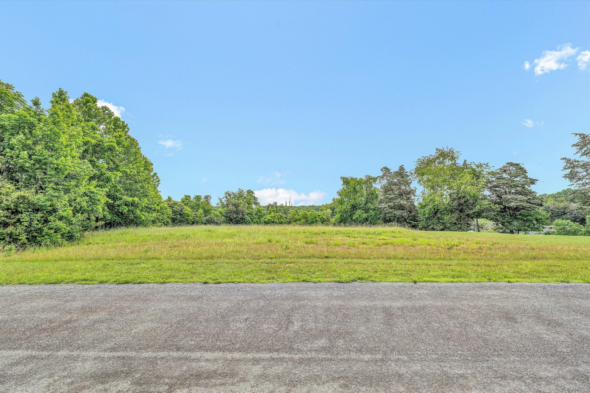 Lot 10 Augusta WAY - Photo 8