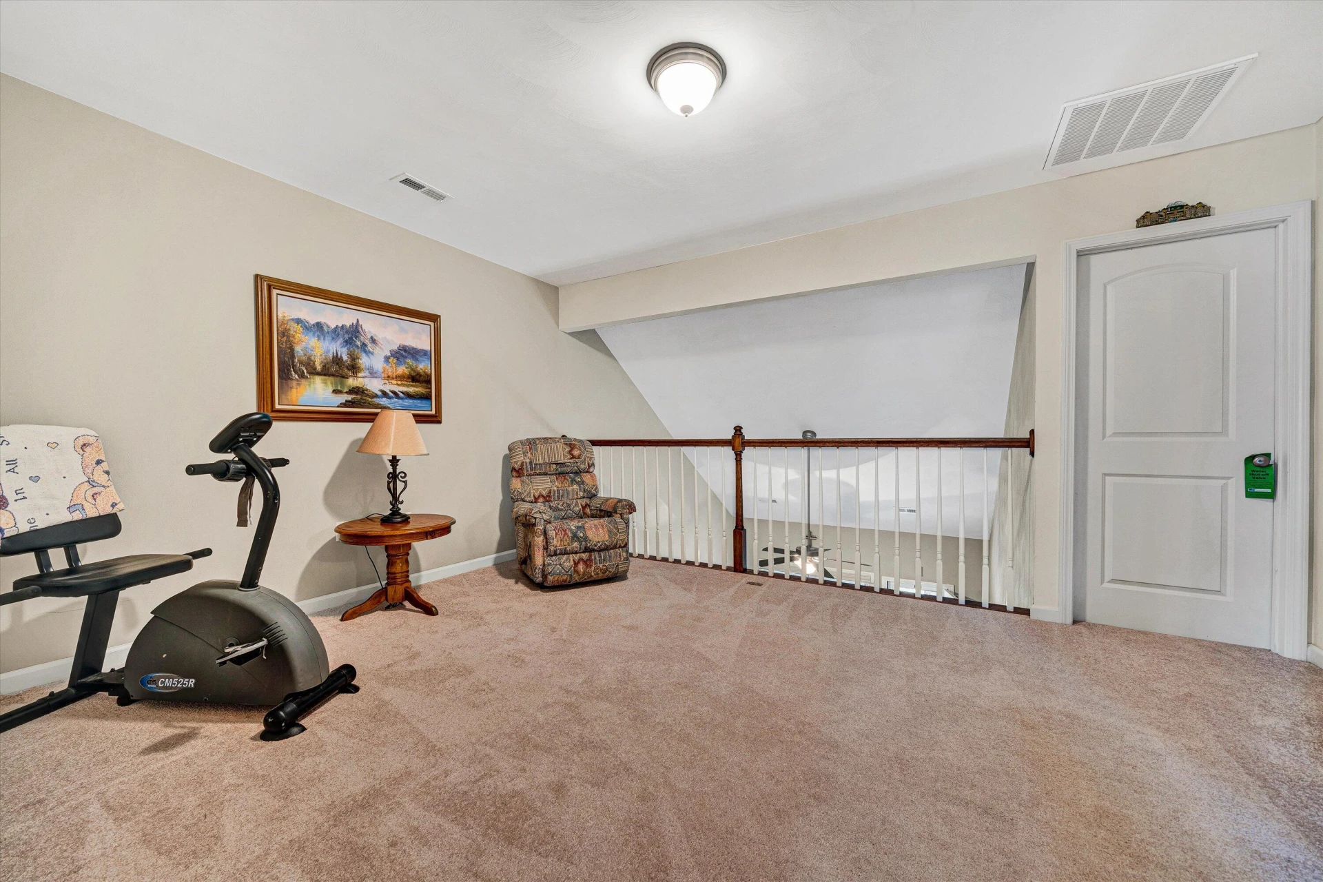 4210 Hannah Belle WAY - Photo 21