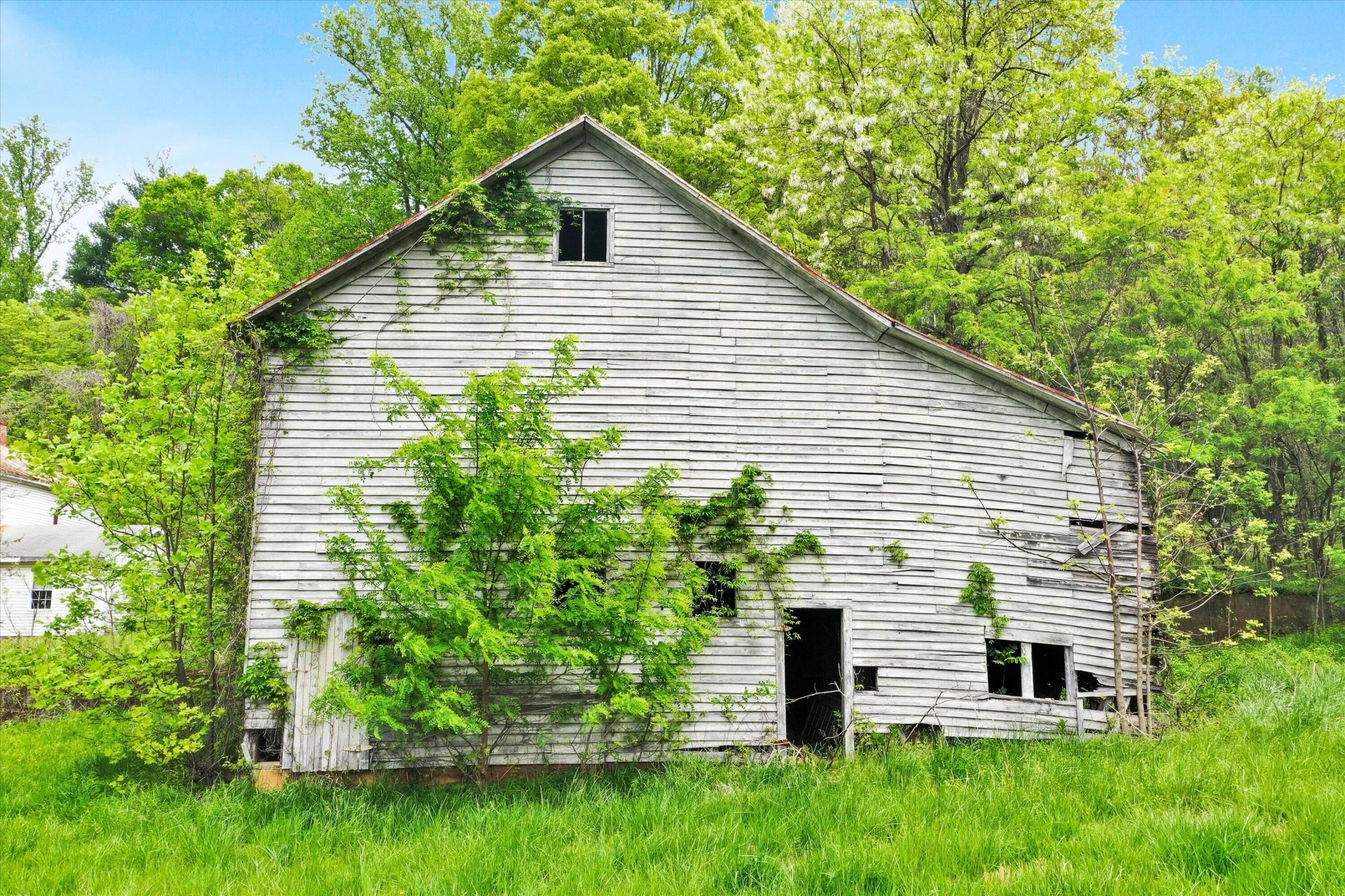 24712 VIRGIL H GOODE HWY - Photo 18