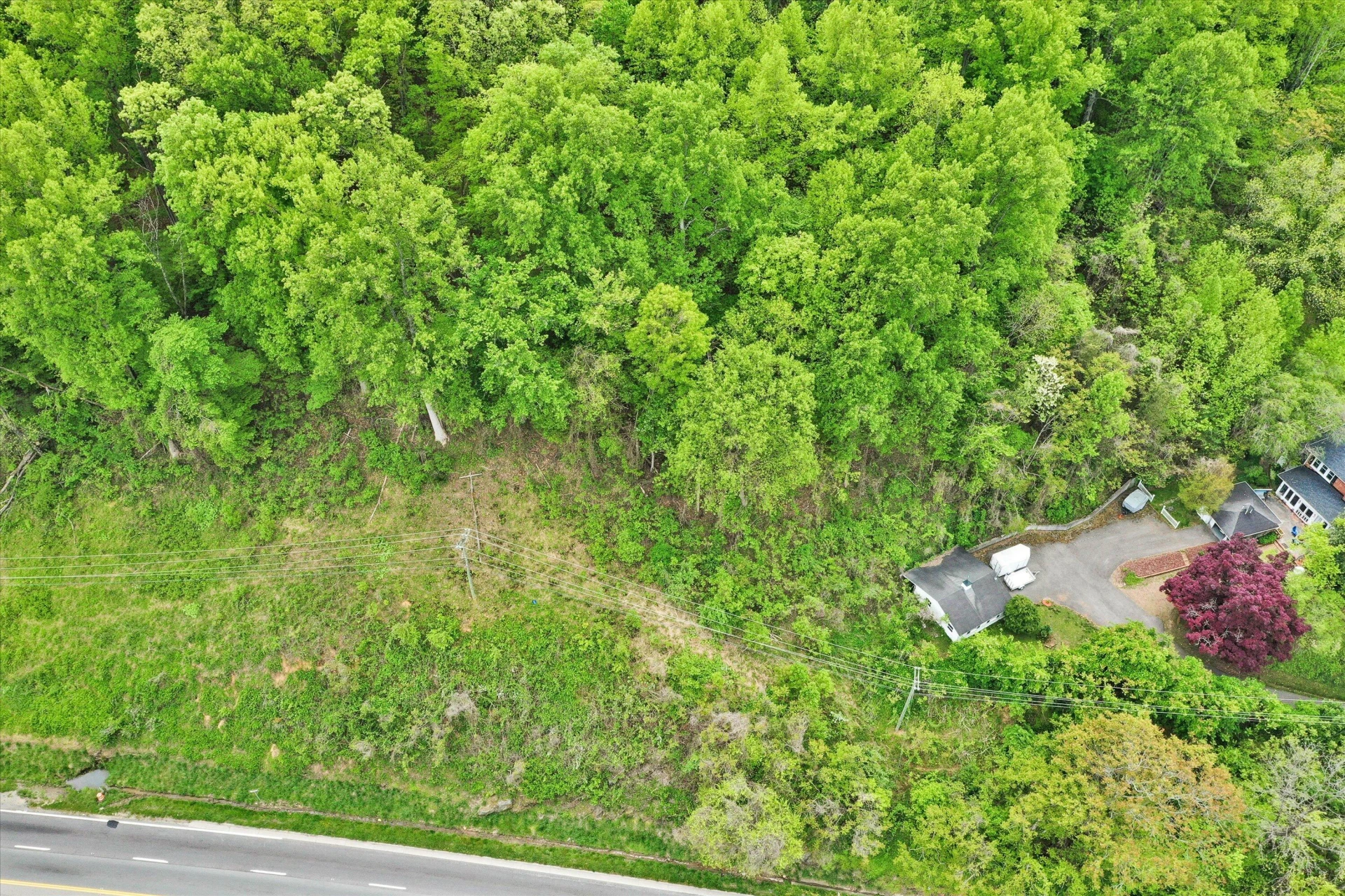 24712 VIRGIL H GOODE HWY - Photo 20