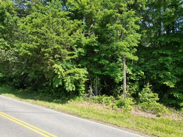 00 DOE RUN RD - Photo 2
