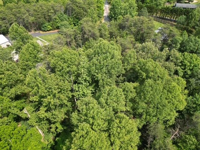 LOT 11 ROYAL ESTATES BLVD - Photo 10