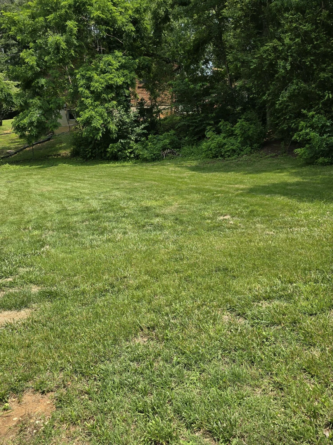 1211 Stoutamire DR - Photo 14