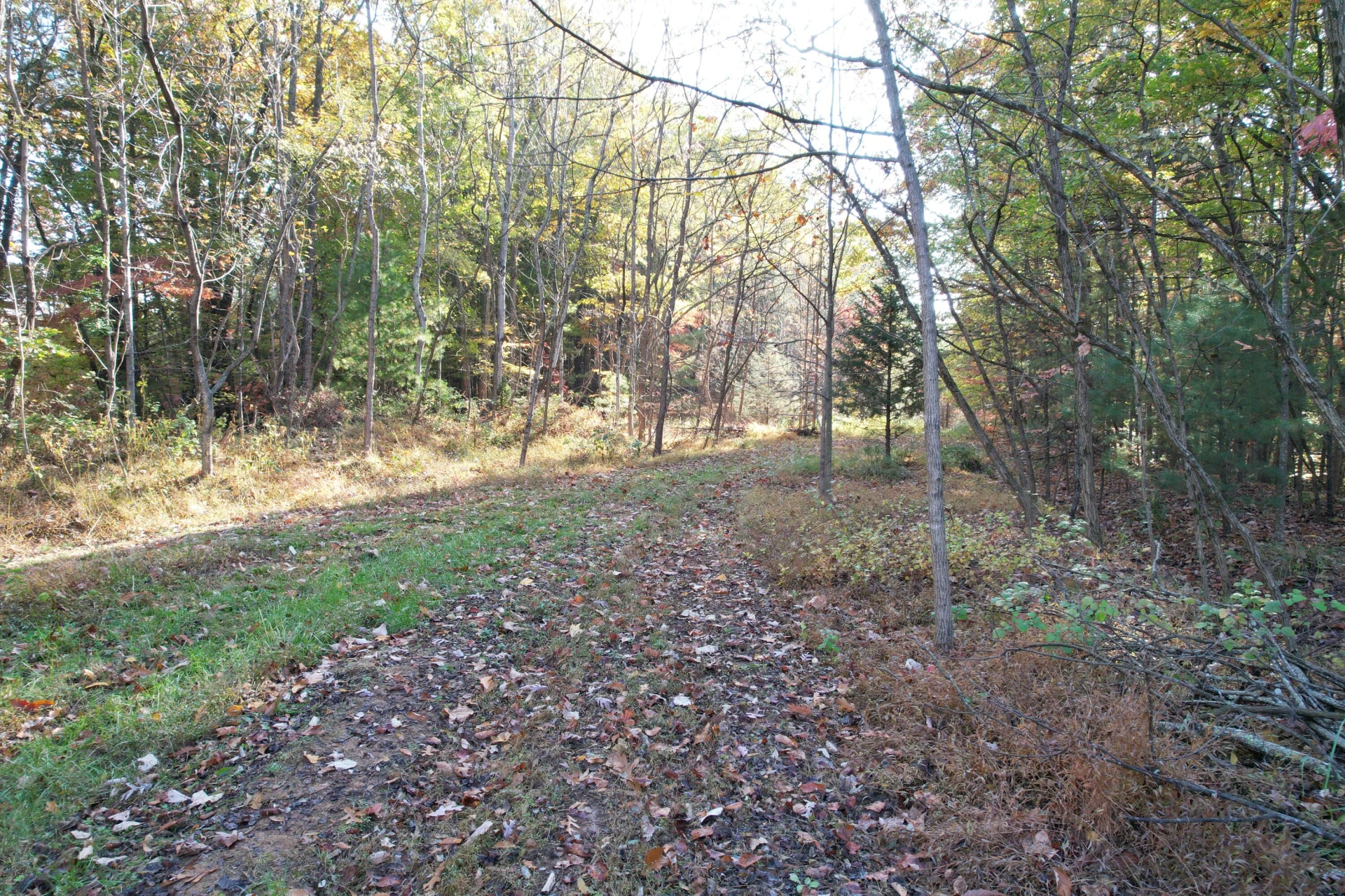 0 Bethlehem RD - Photo 6