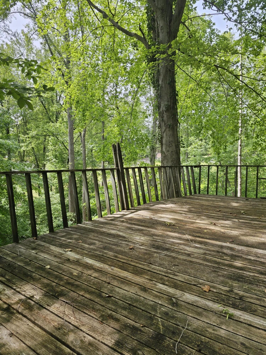 145 Carlos RD - Photo 16