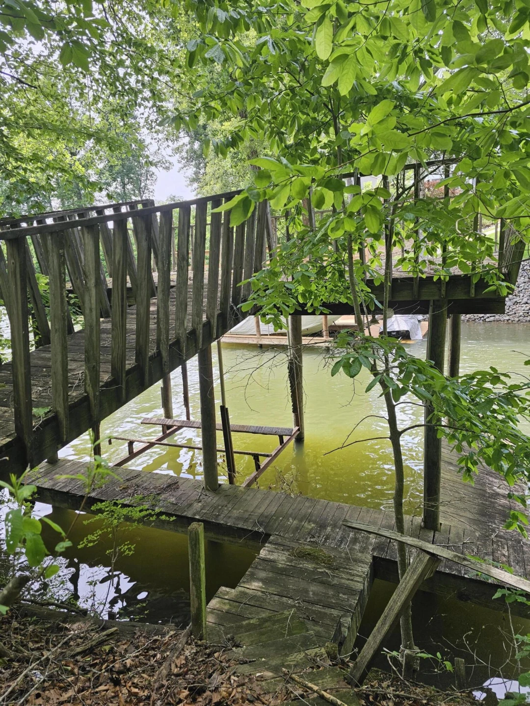145 Carlos RD - Photo 3