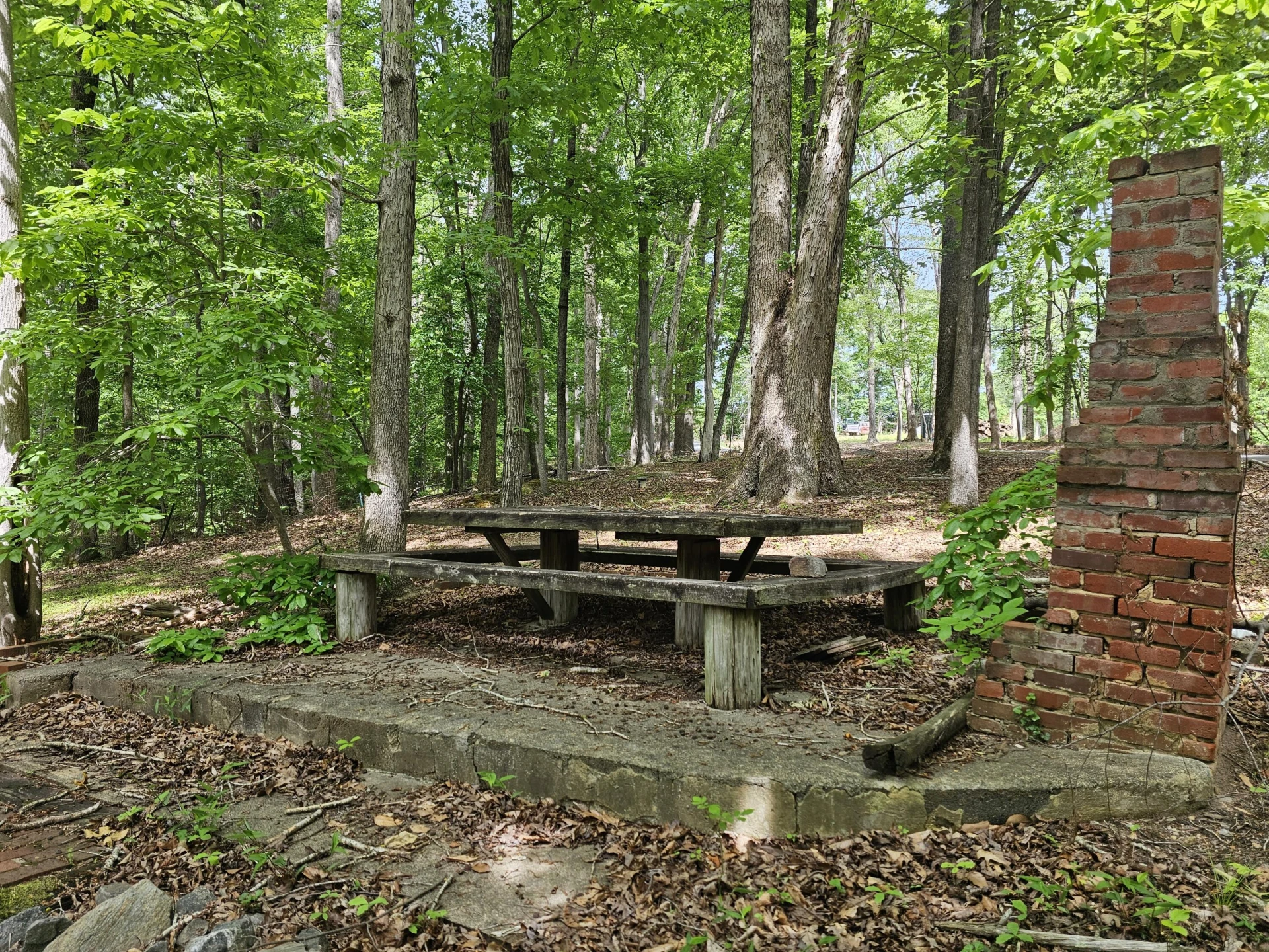 145 Carlos RD - Photo 8