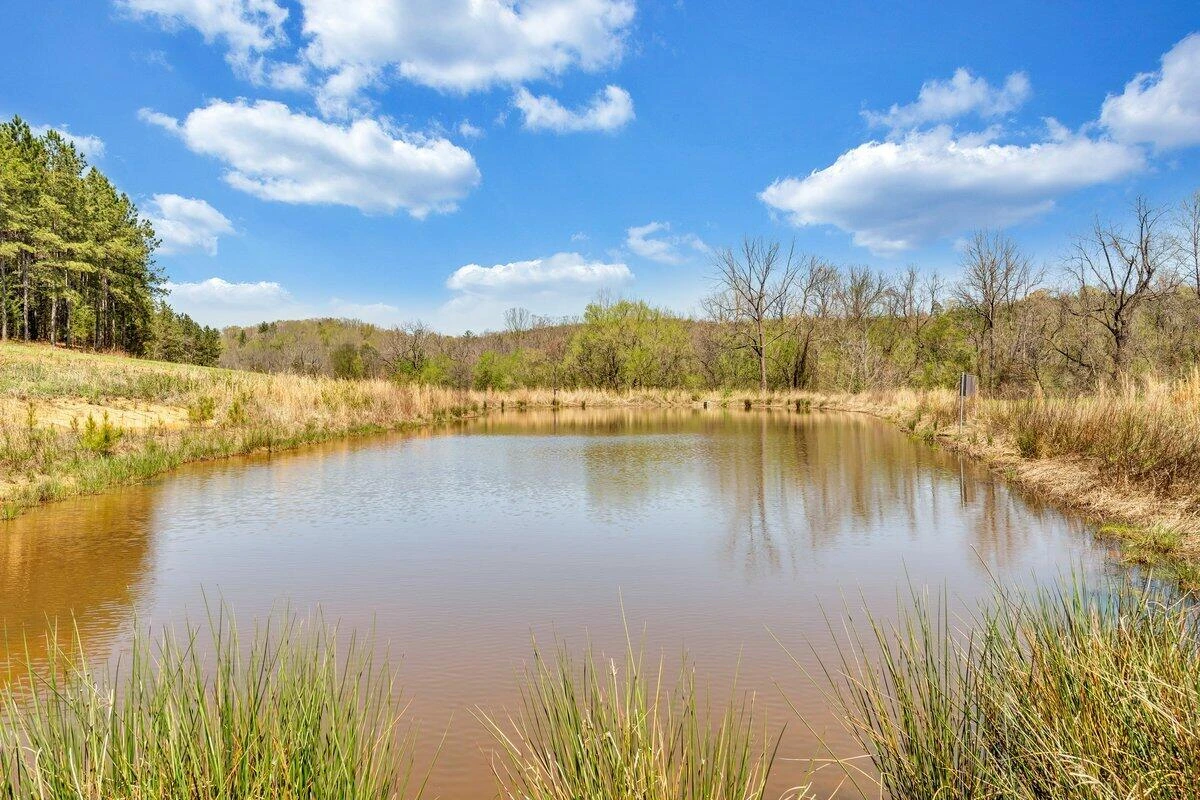 780 Adkins RD - Photo 39