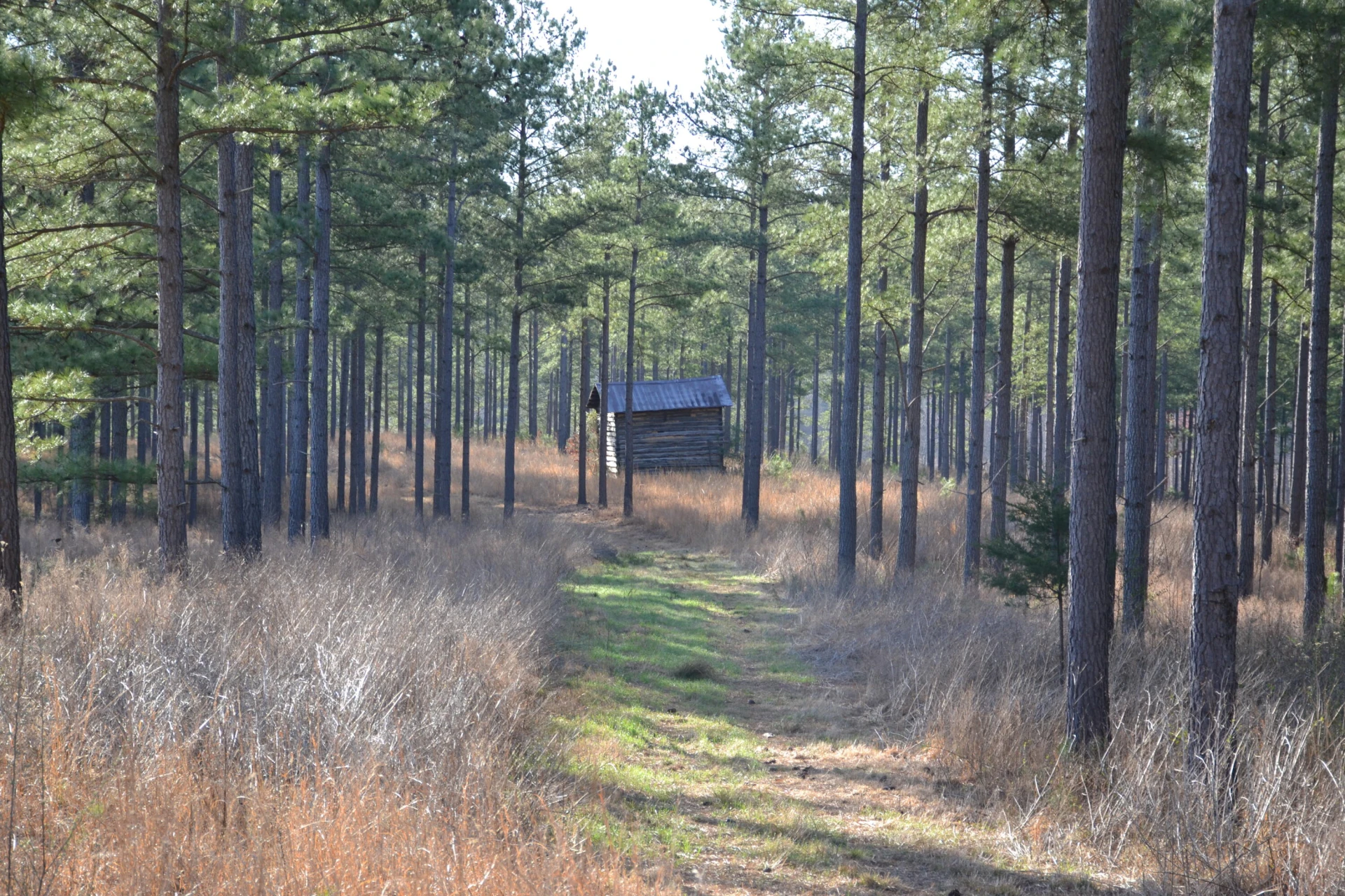 780 Adkins RD - Photo 40