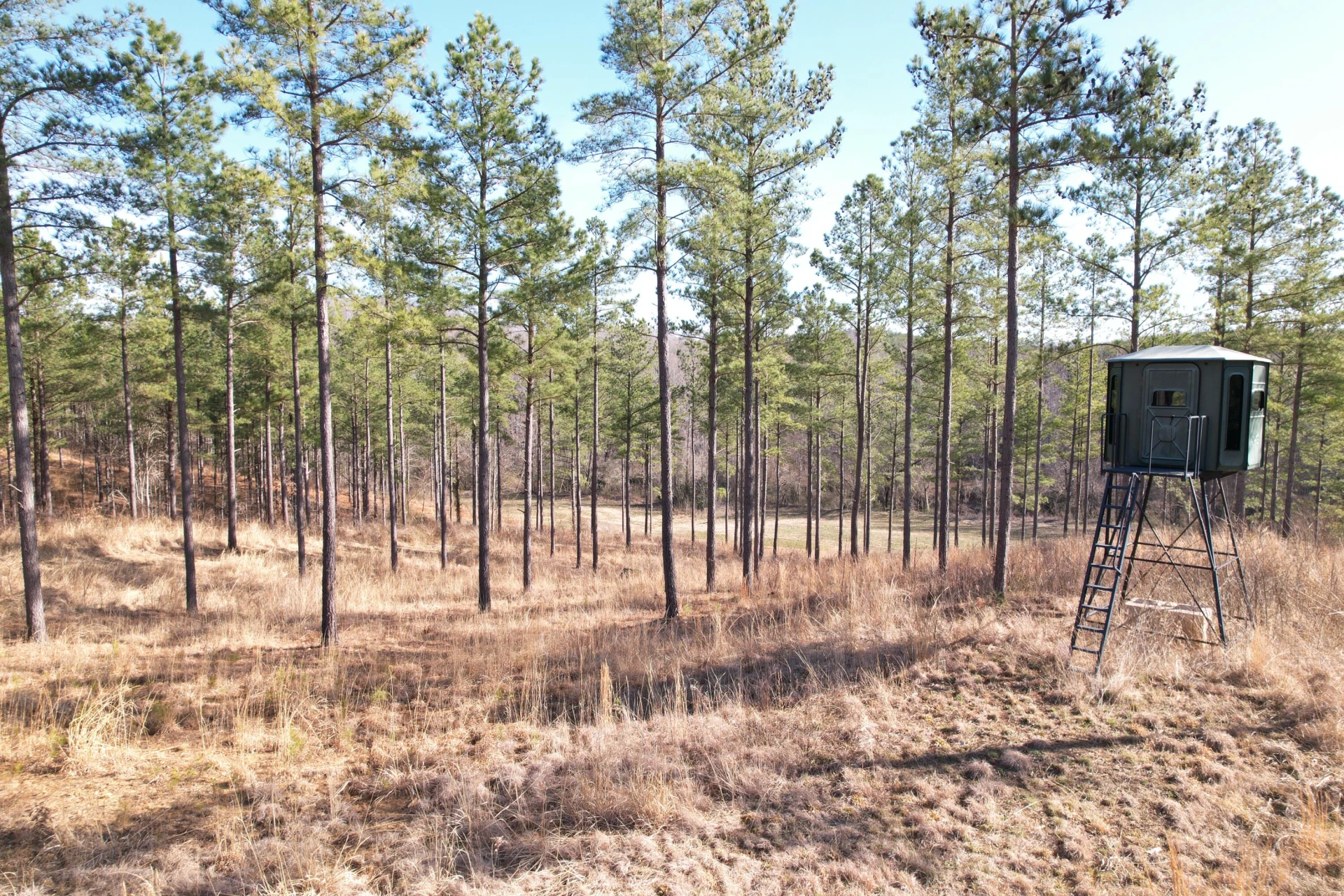 780 Adkins RD - Photo 44