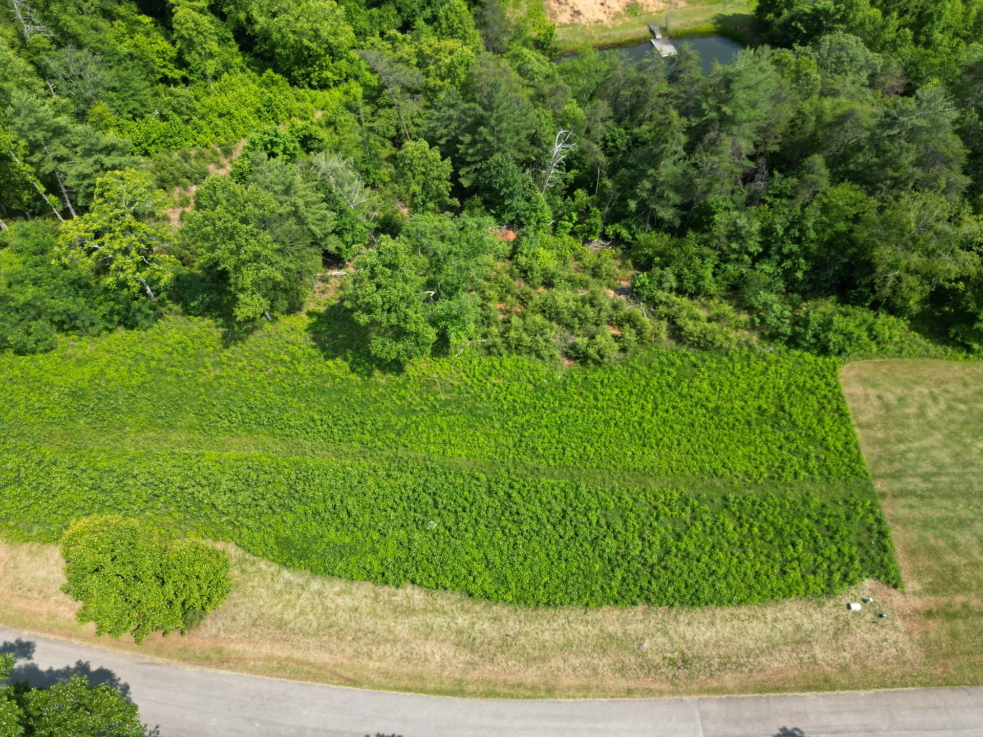 Lot 31 River Rock RD - Photo 4