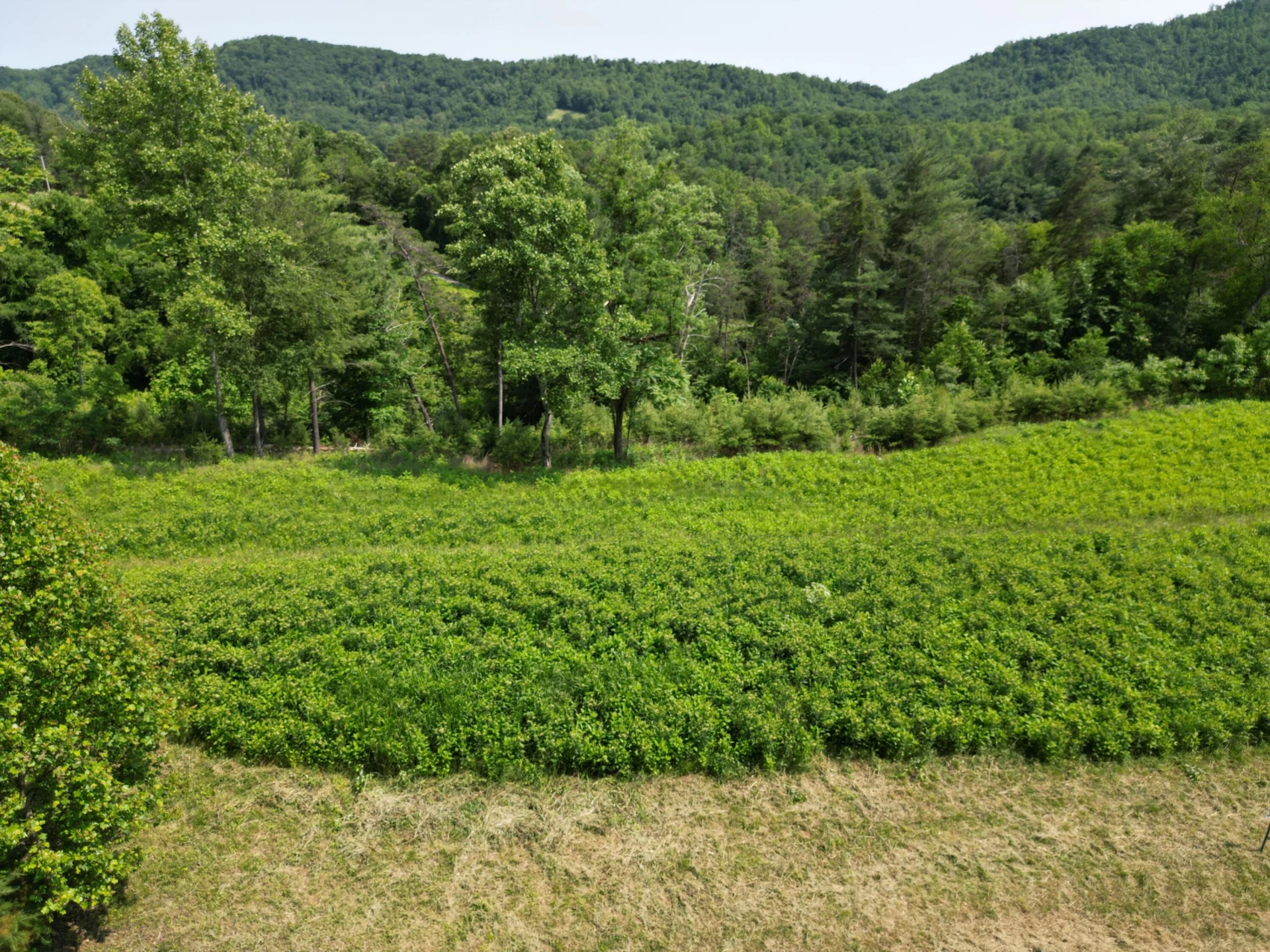Lot 32 River Rock RD - Photo 4