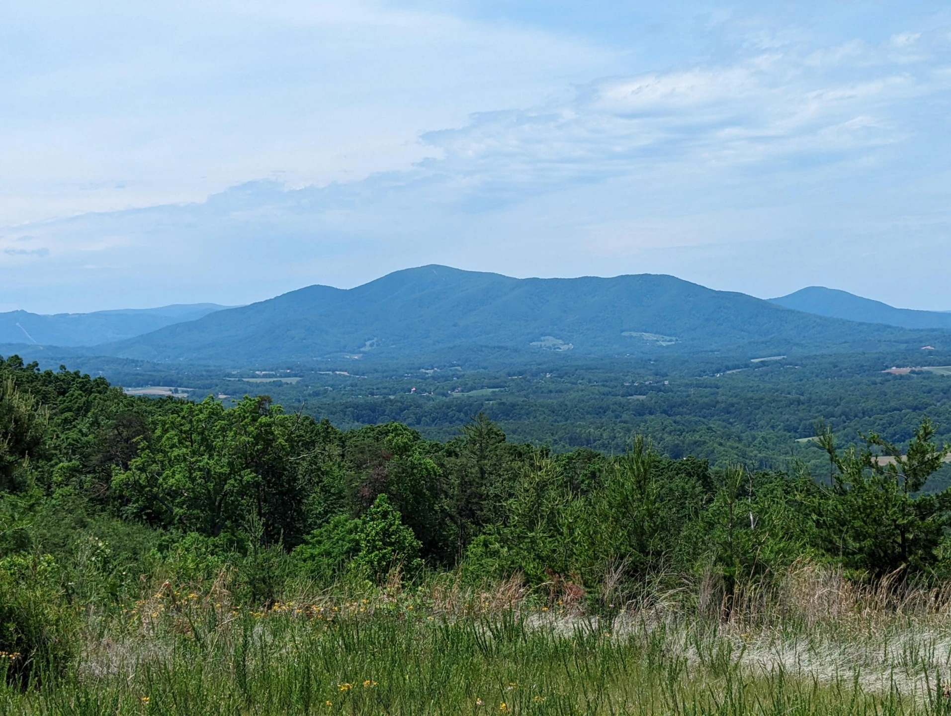 Lot 67 Penny LN
