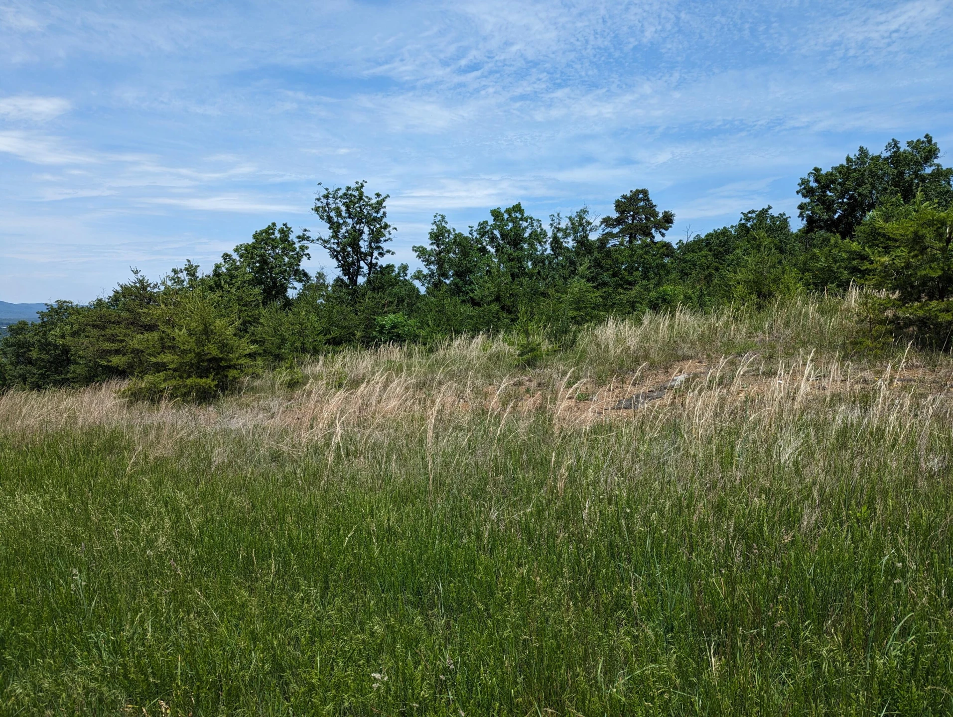 Lot 67 Penny LN - Photo 10