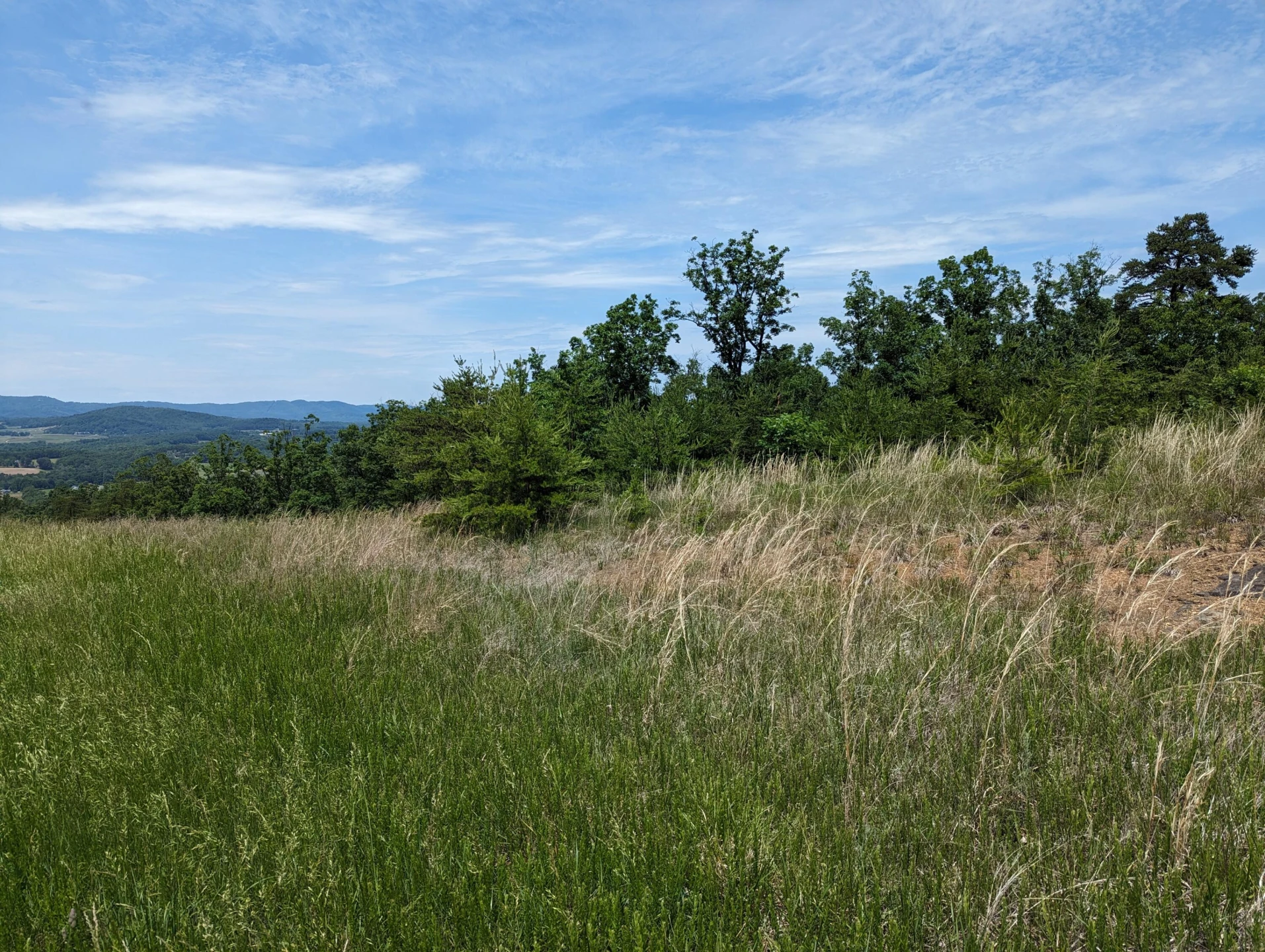 Lot 67 Penny LN - Photo 11