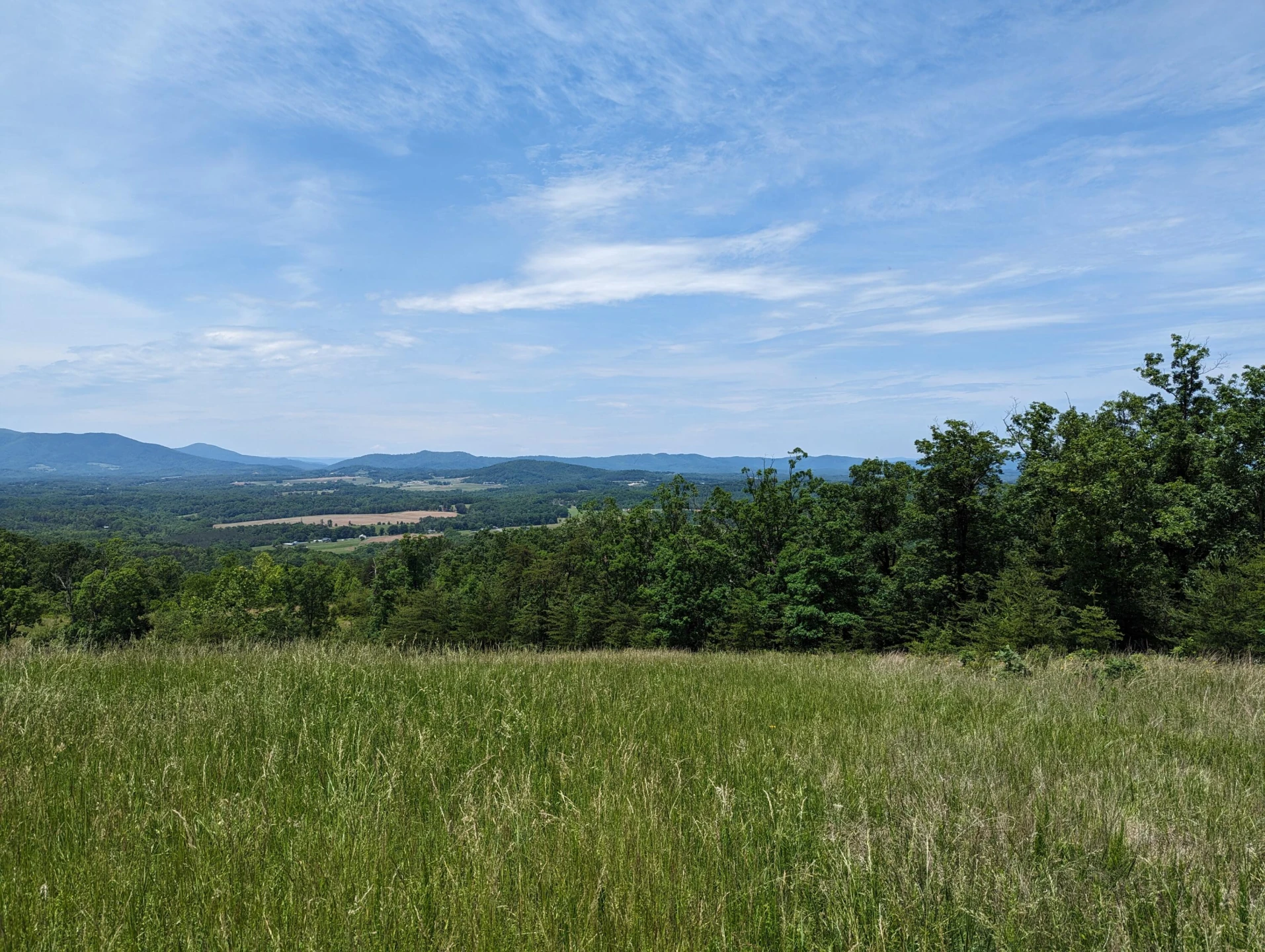 Lot 67 Penny LN - Photo 12