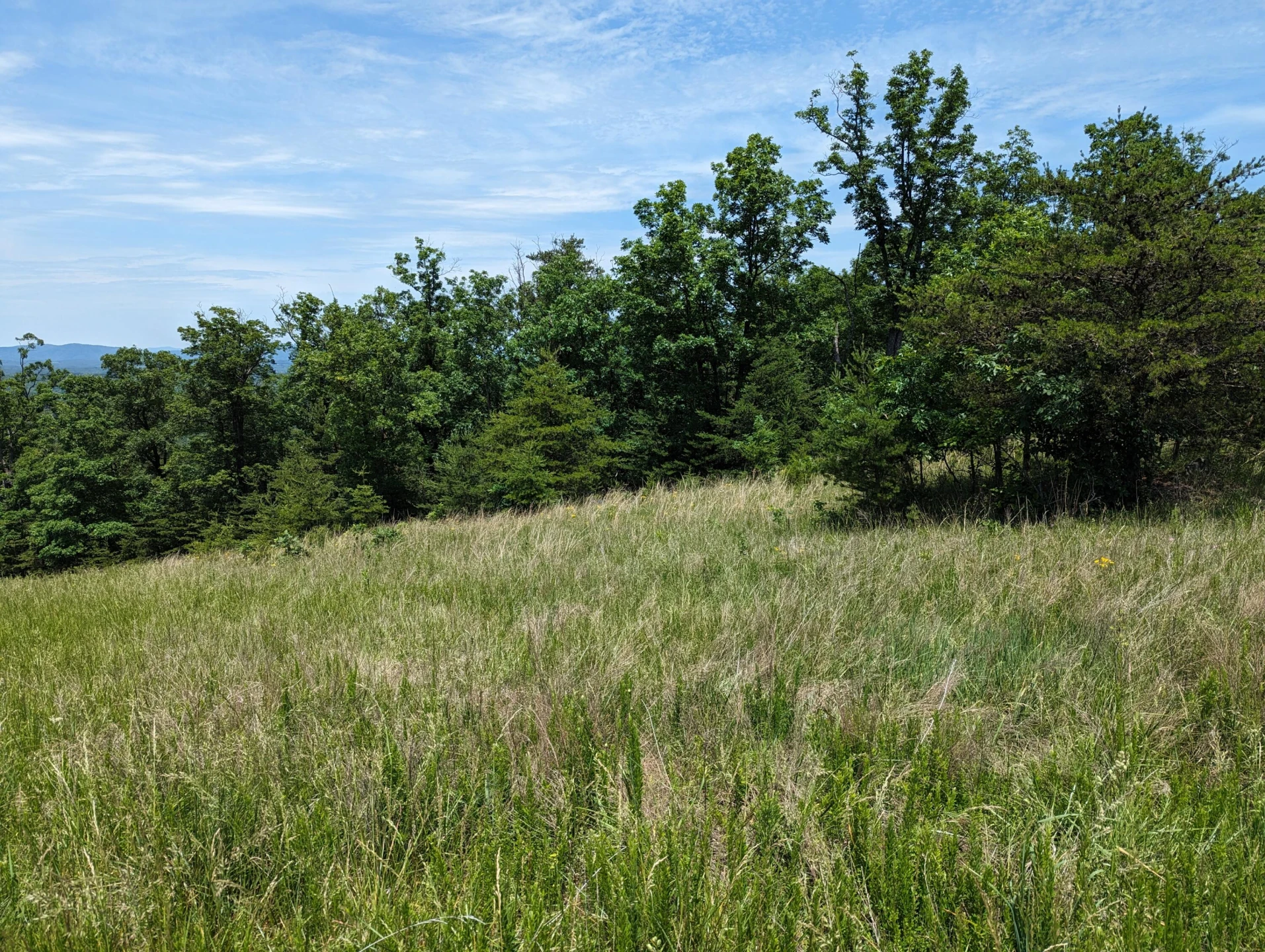 Lot 67 Penny LN - Photo 13