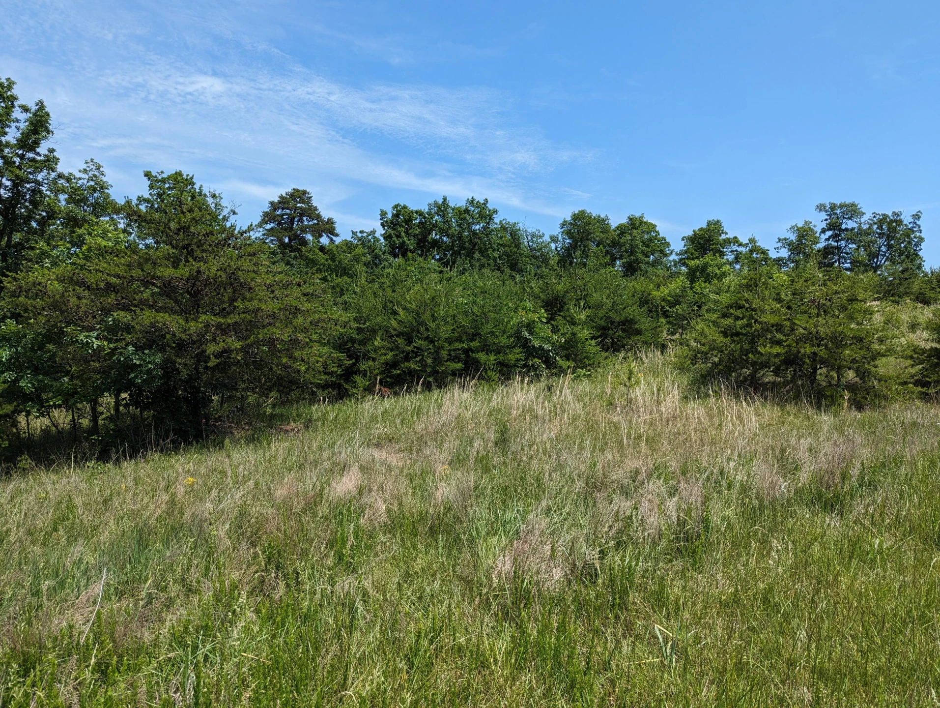 Lot 67 Penny LN - Photo 16