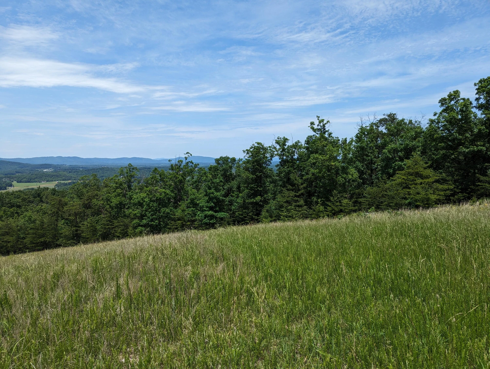 Lot 67 Penny LN - Photo 18