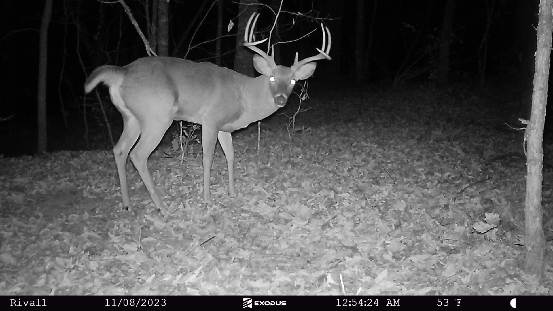 00 Rock Cliff RD - Photo 10