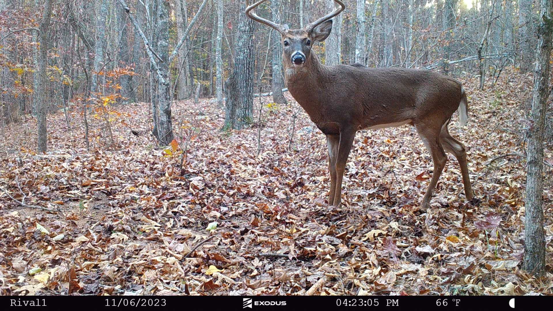 00 Rock Cliff RD - Photo 11