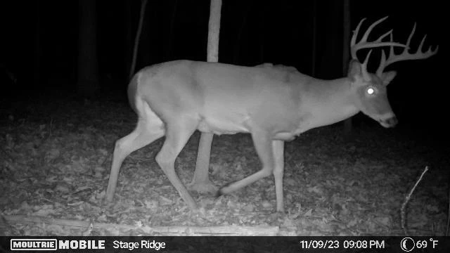 00 Rock Cliff RD - Photo 12